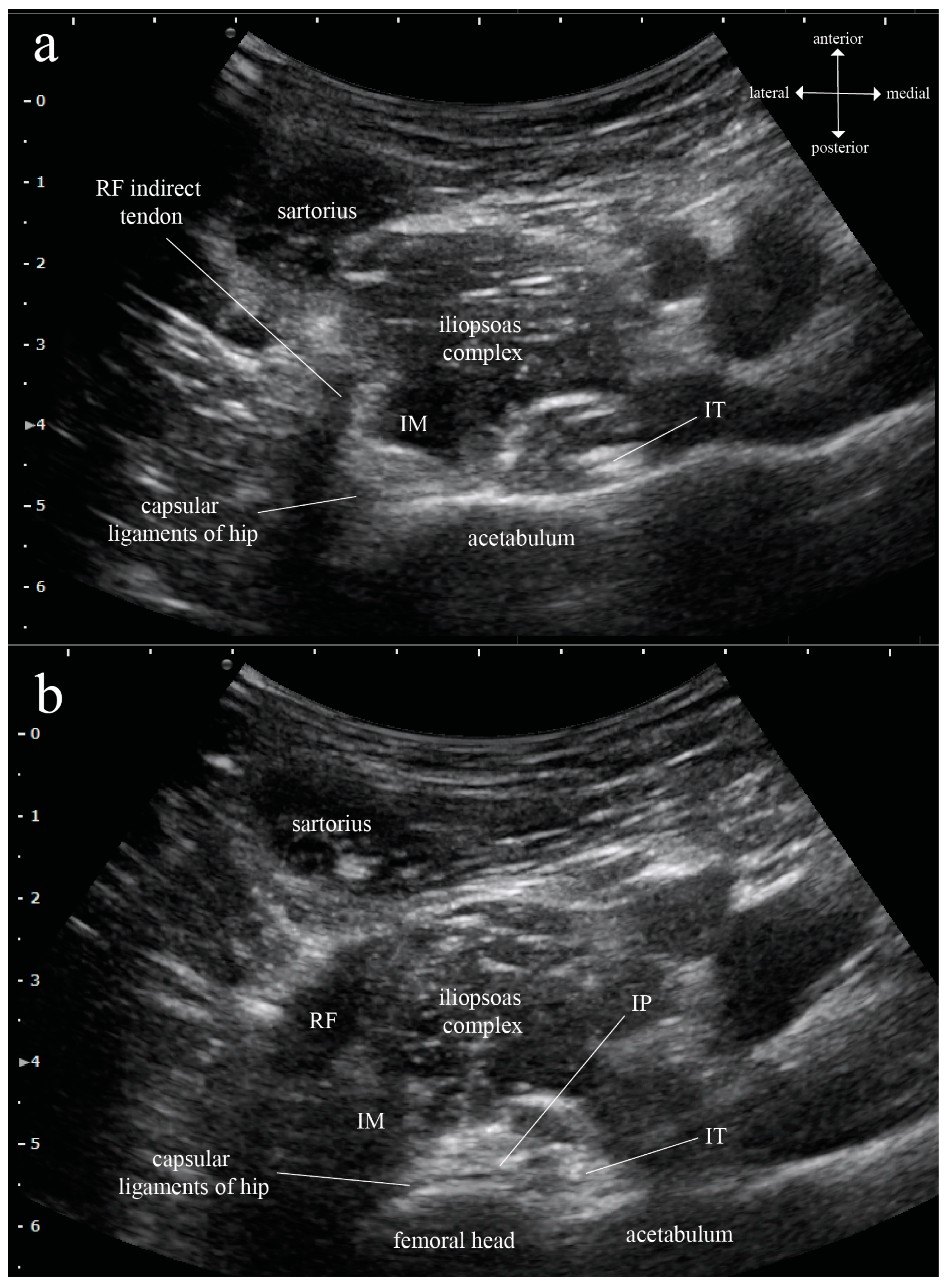 Healthcare 11 00069 g002