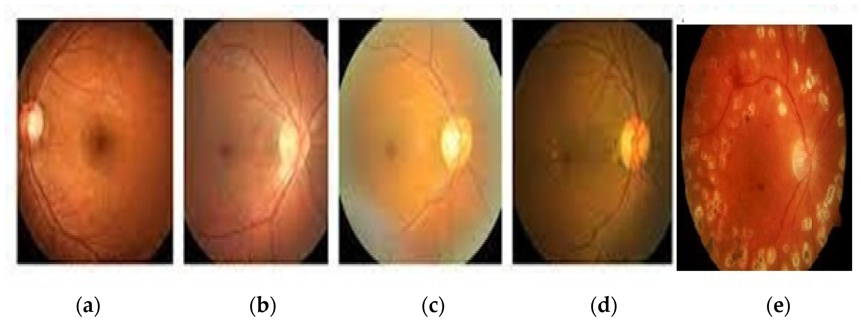 Healthcare 11 00097 g001 Healthcare 11 00097 g001