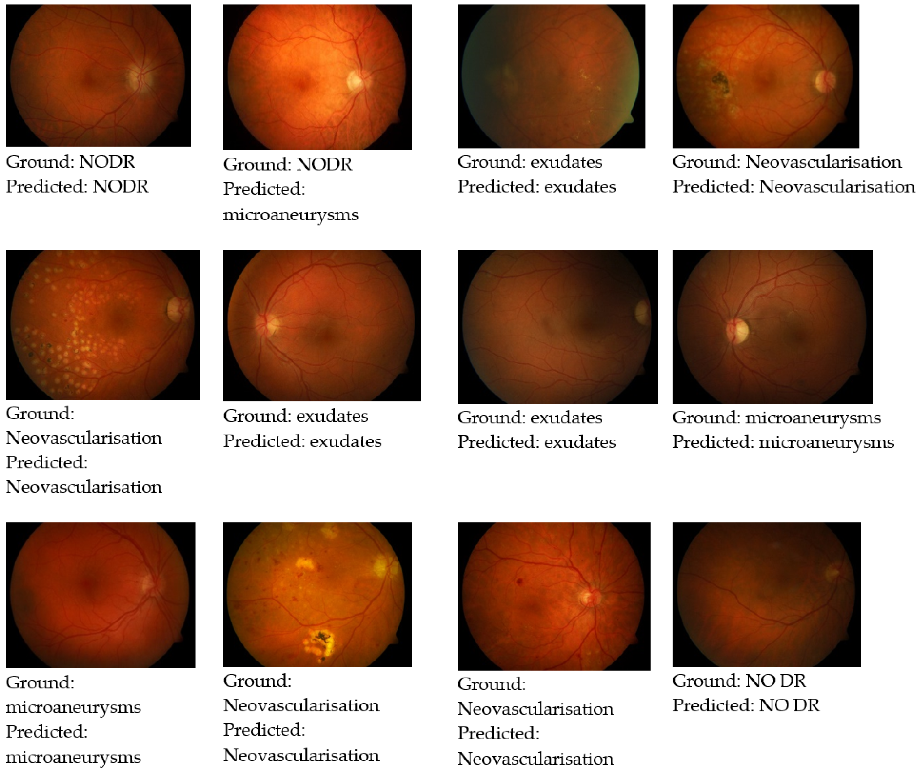 Healthcare 11 00097 g005 Healthcare 11 00097 g005