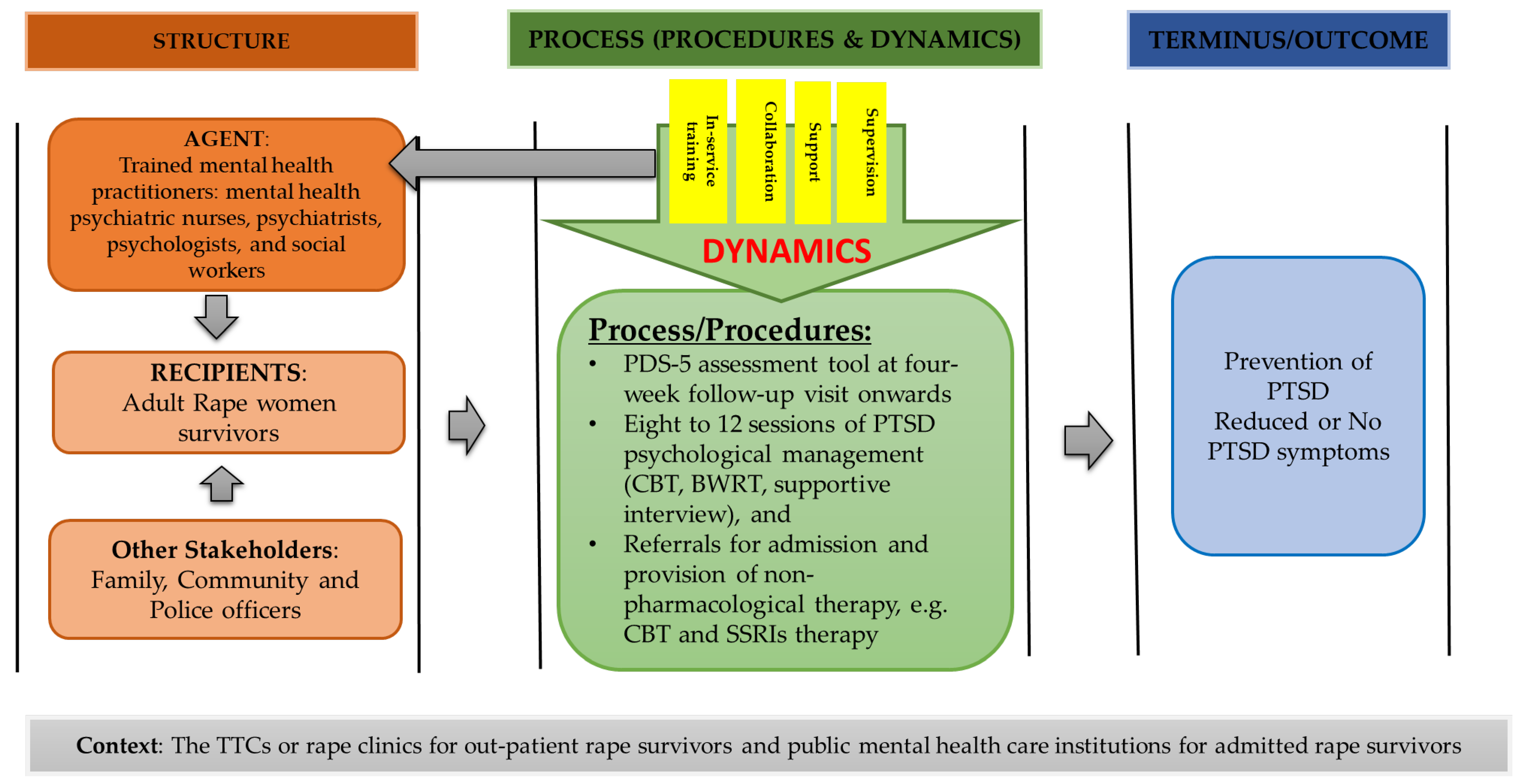 Healthcare Free Full-Text Conceptual Framework for Rape Survivors Diagnosed with PTSD in the North West Province of South Africa