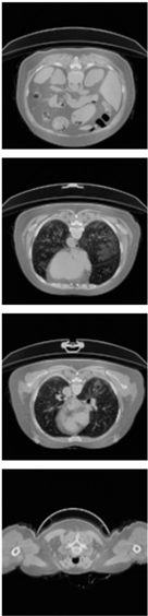 Healthcare 11 00213 i017