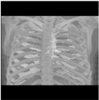 Healthcare 11 00213 i036