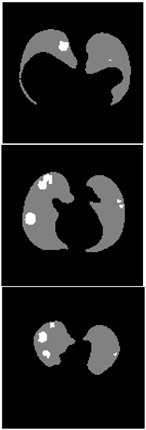 Healthcare 11 00213 i040