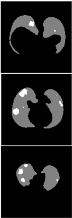 Healthcare 11 00213 i041