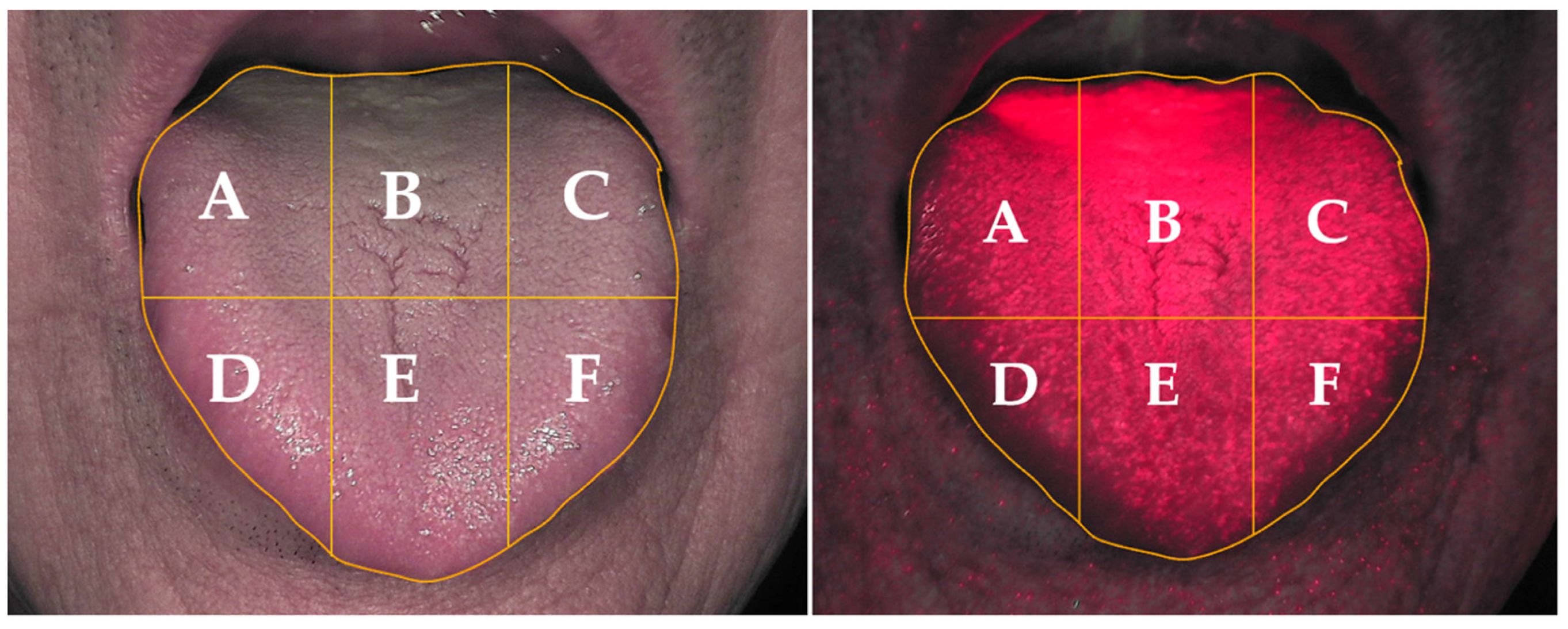 Healthcare 11 00217 g004 Healthcare 11 00217 g004