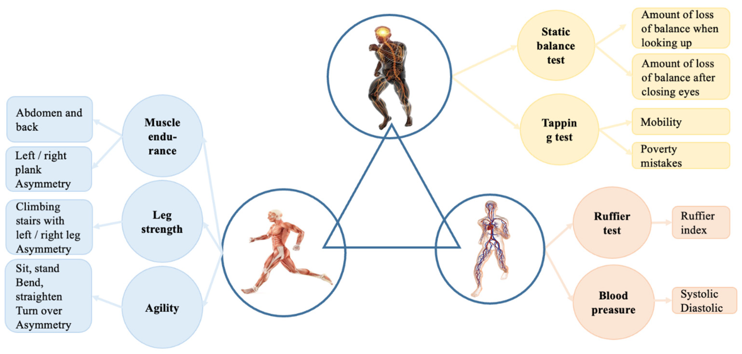 Healthcare 11 00220 g001