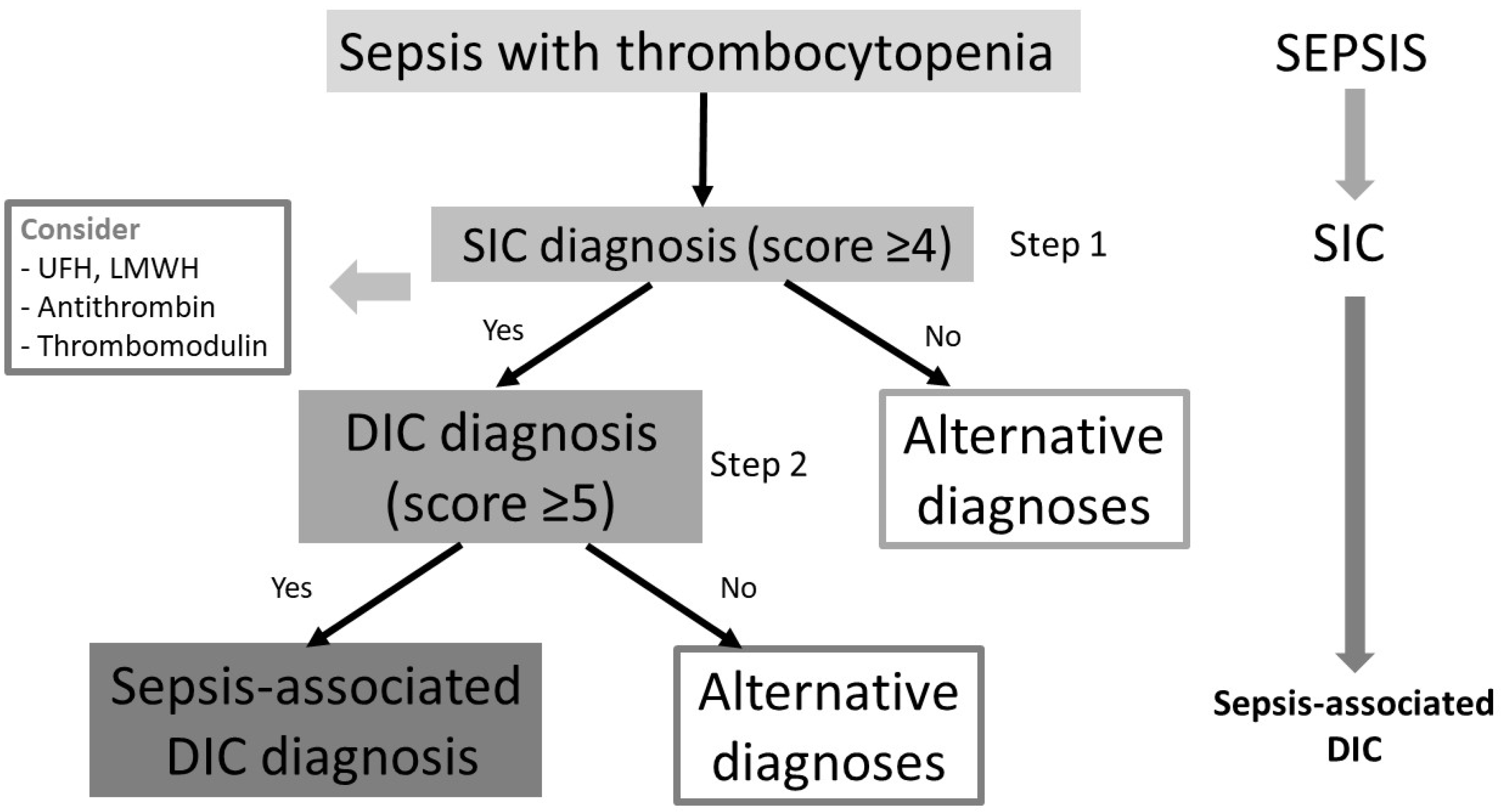 Healthcare 11 00227 g001