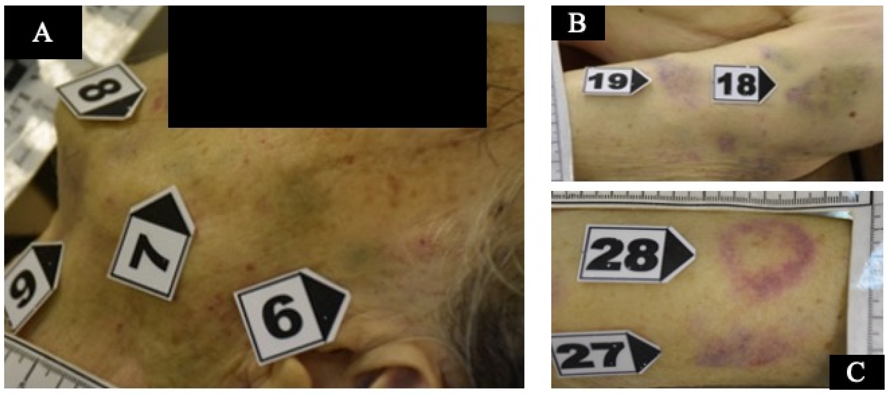 Healthcare 11 00228 g002 Healthcare 11 00228 g002