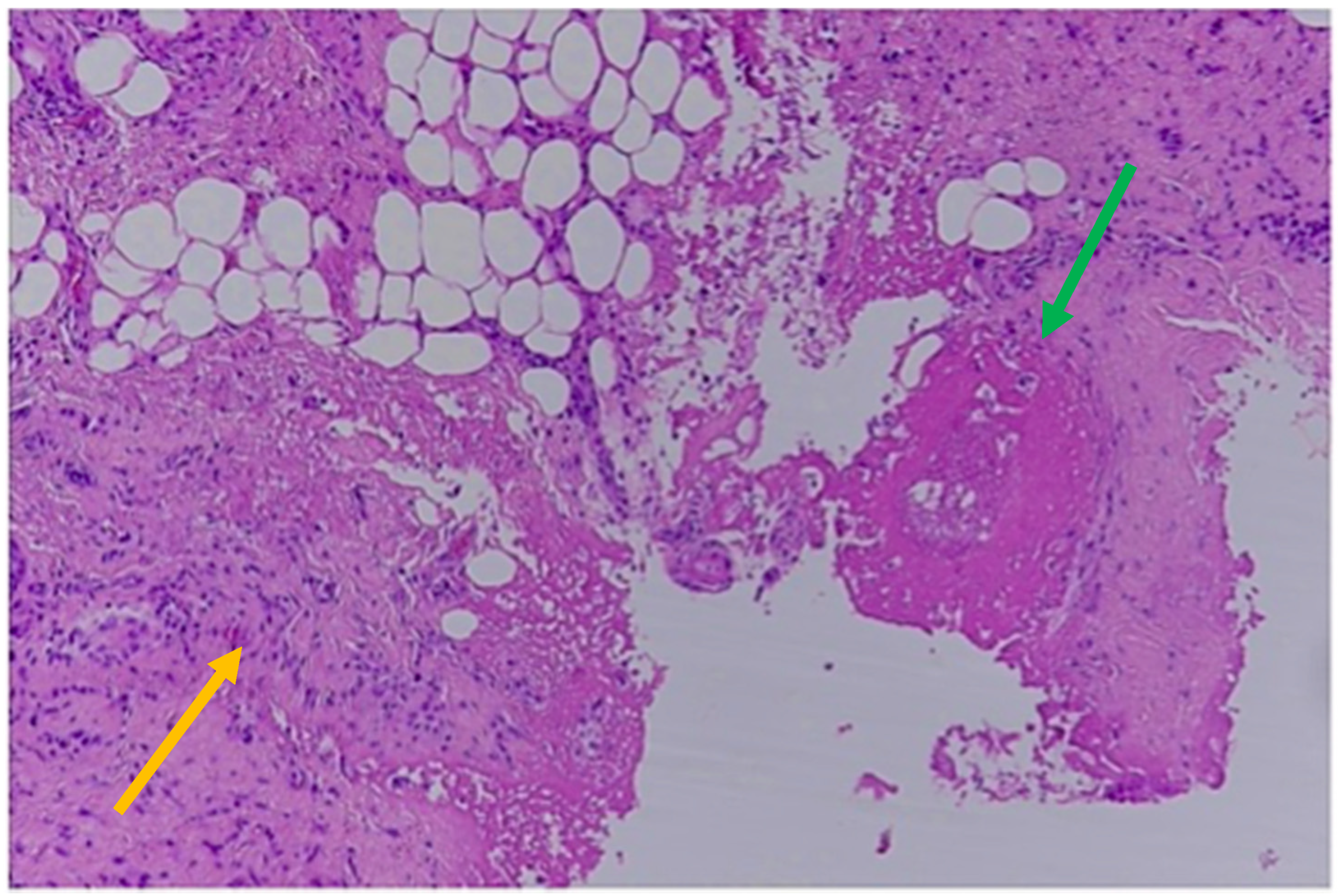 Healthcare 11 00228 g003 Healthcare 11 00228 g003