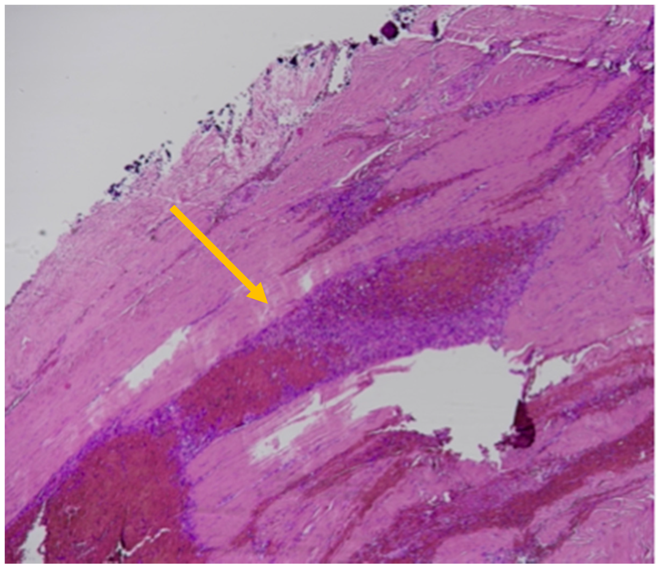 Healthcare 11 00228 g004 Healthcare 11 00228 g004