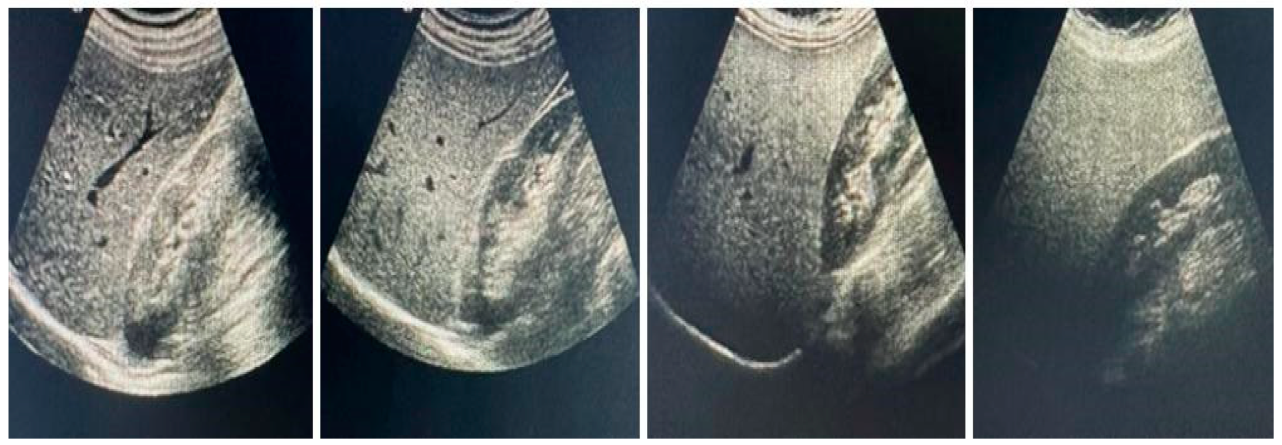 Healthcare 11 00243 g001 Healthcare 11 00243 g001