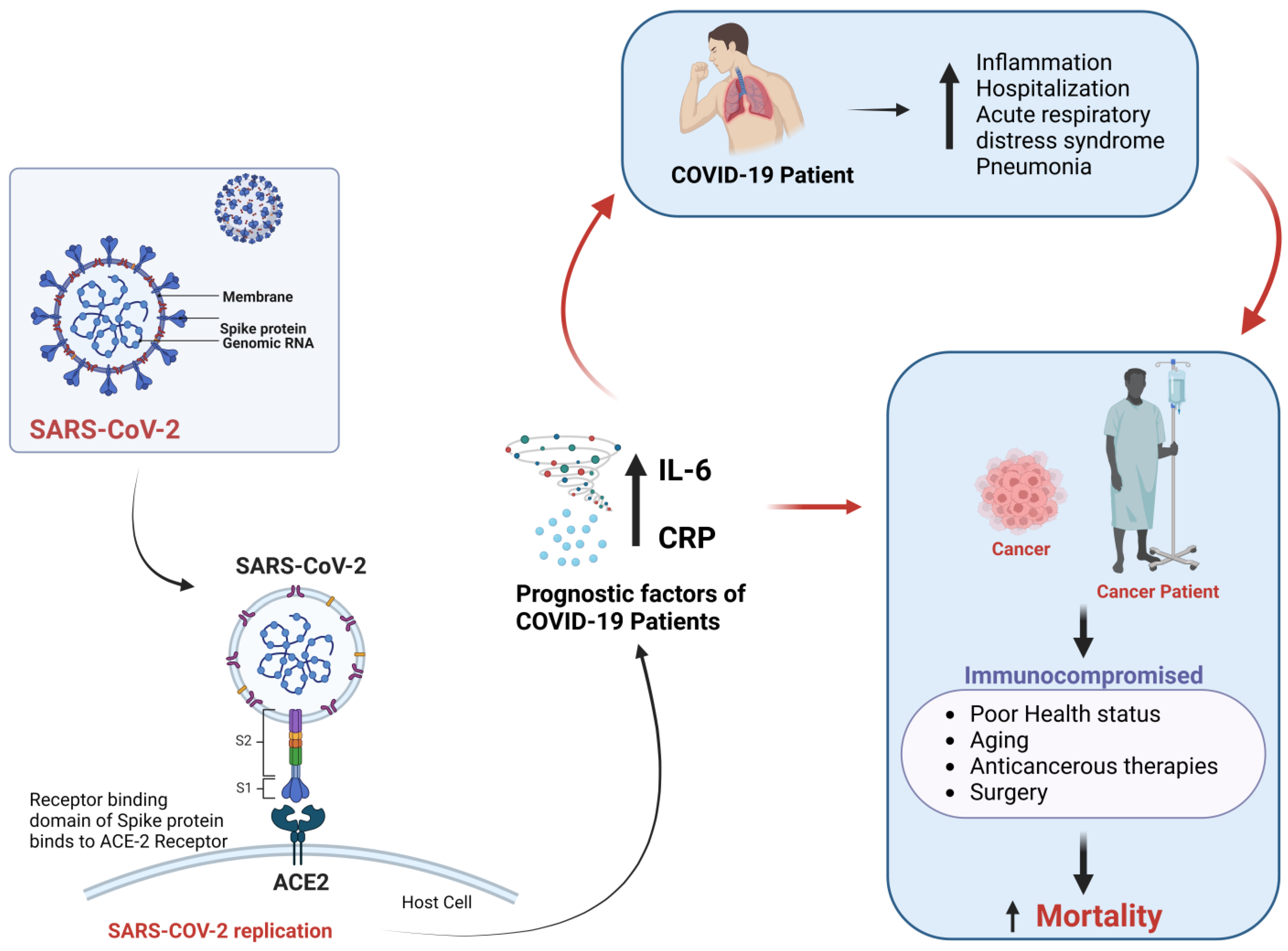 Healthcare 11 00248 g001 Healthcare 11 00248 g001