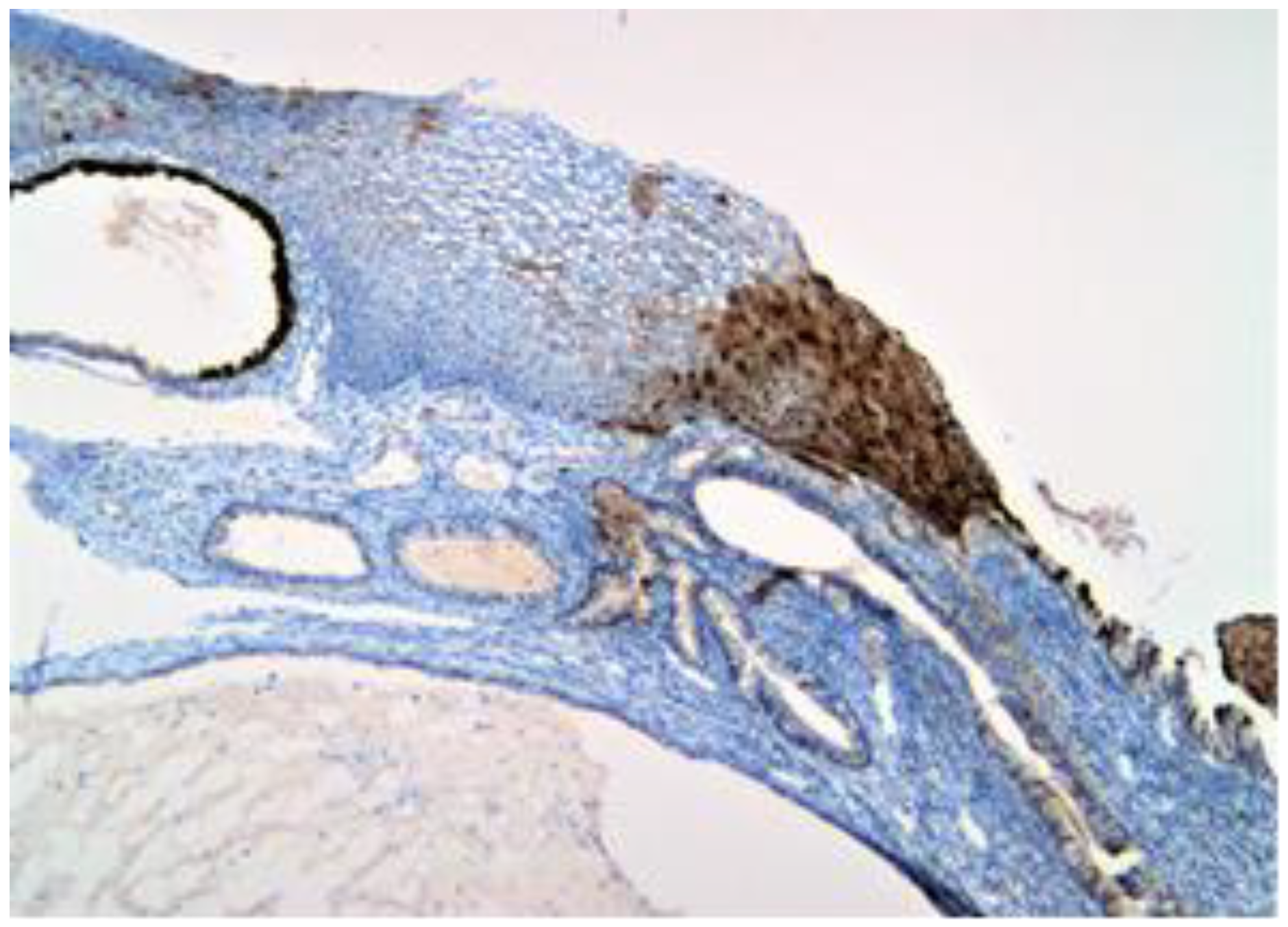 Healthcare 11 00257 g002