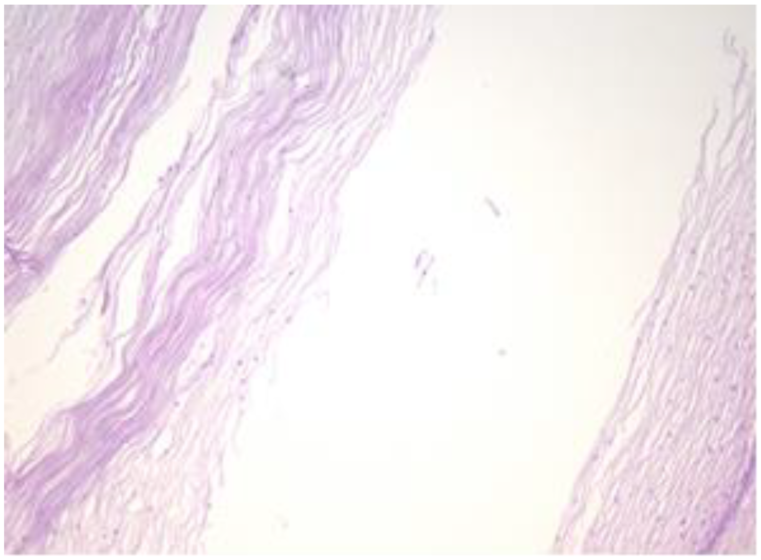 Healthcare 11 00257 g004