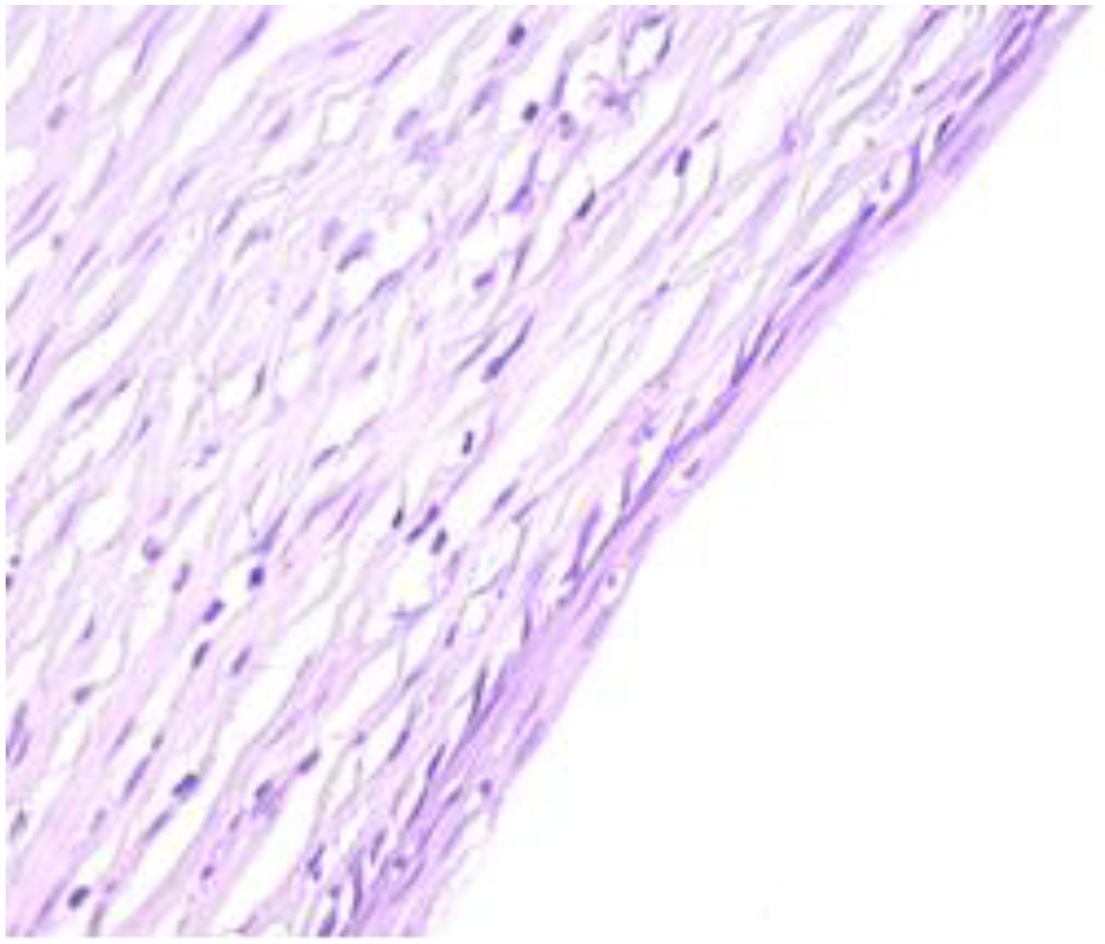 Healthcare 11 00257 g005