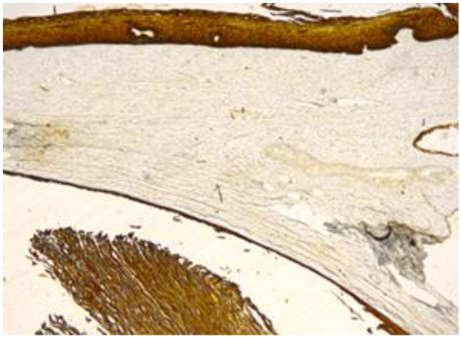 Healthcare 11 00257 g006