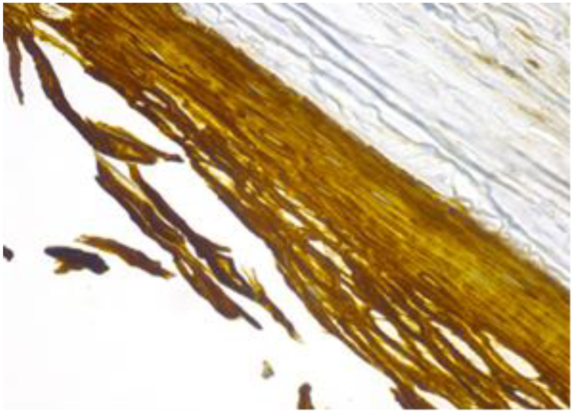 Healthcare 11 00257 g007