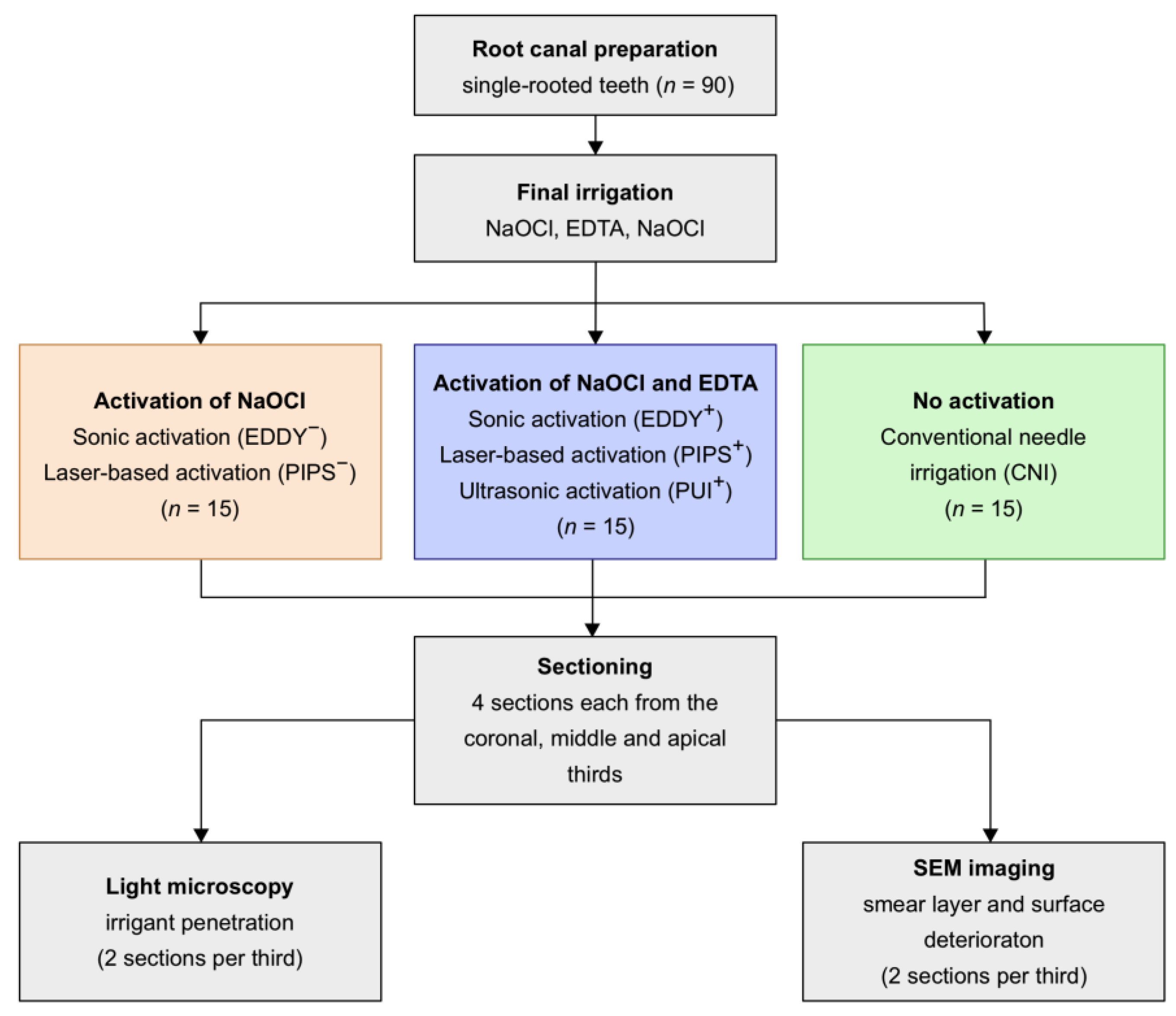 Healthcare Free FullText Impact of Endodontic Irrigant Activation