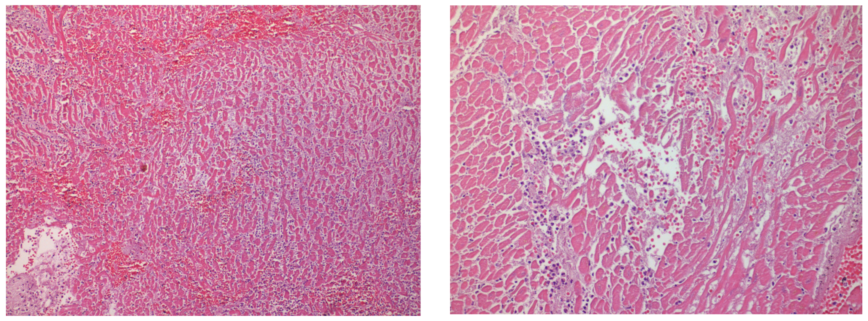 Healthcare 11 00386 g002