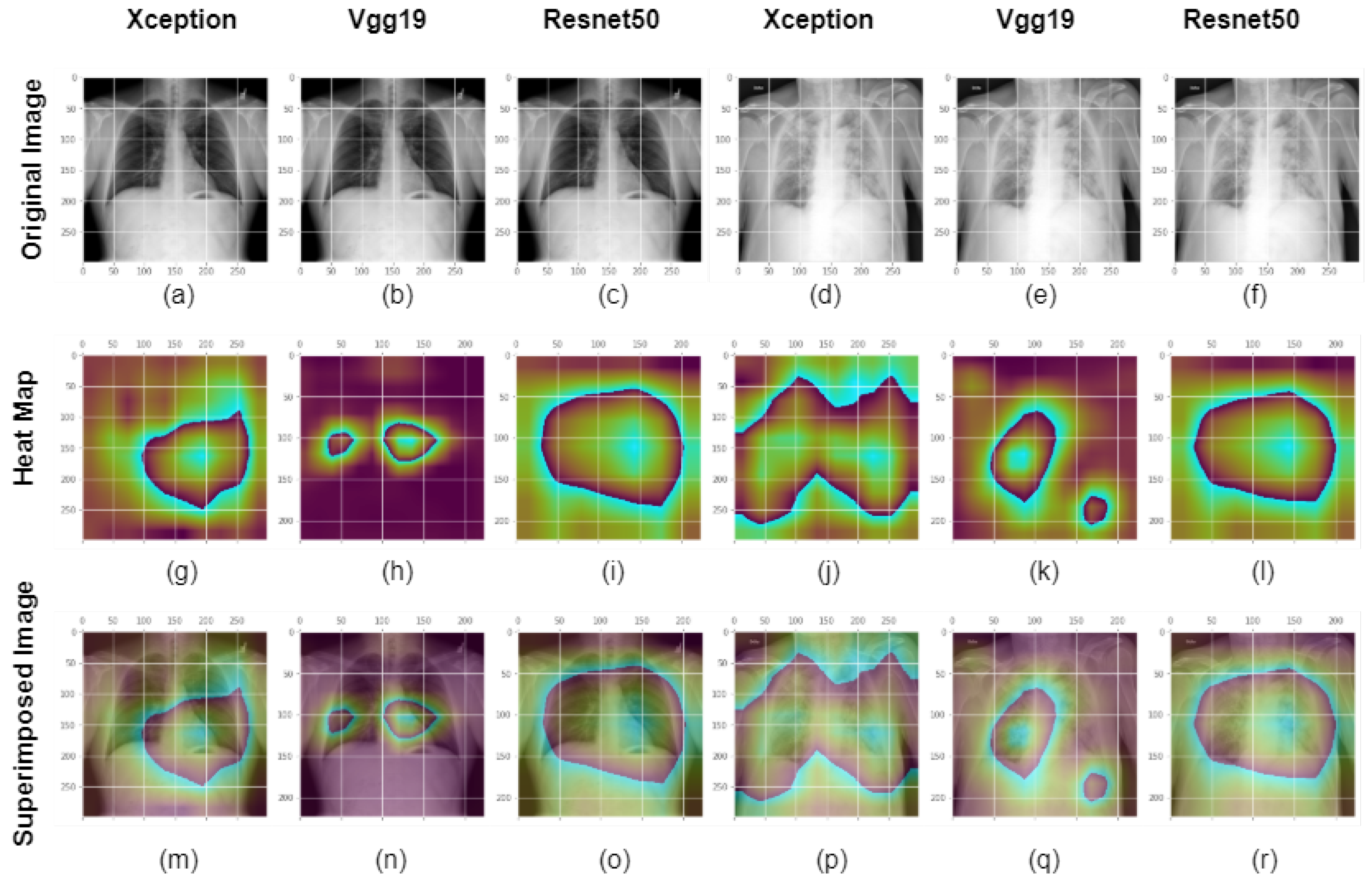 Healthcare Free FullText Interpretable Differential Diagnosis of