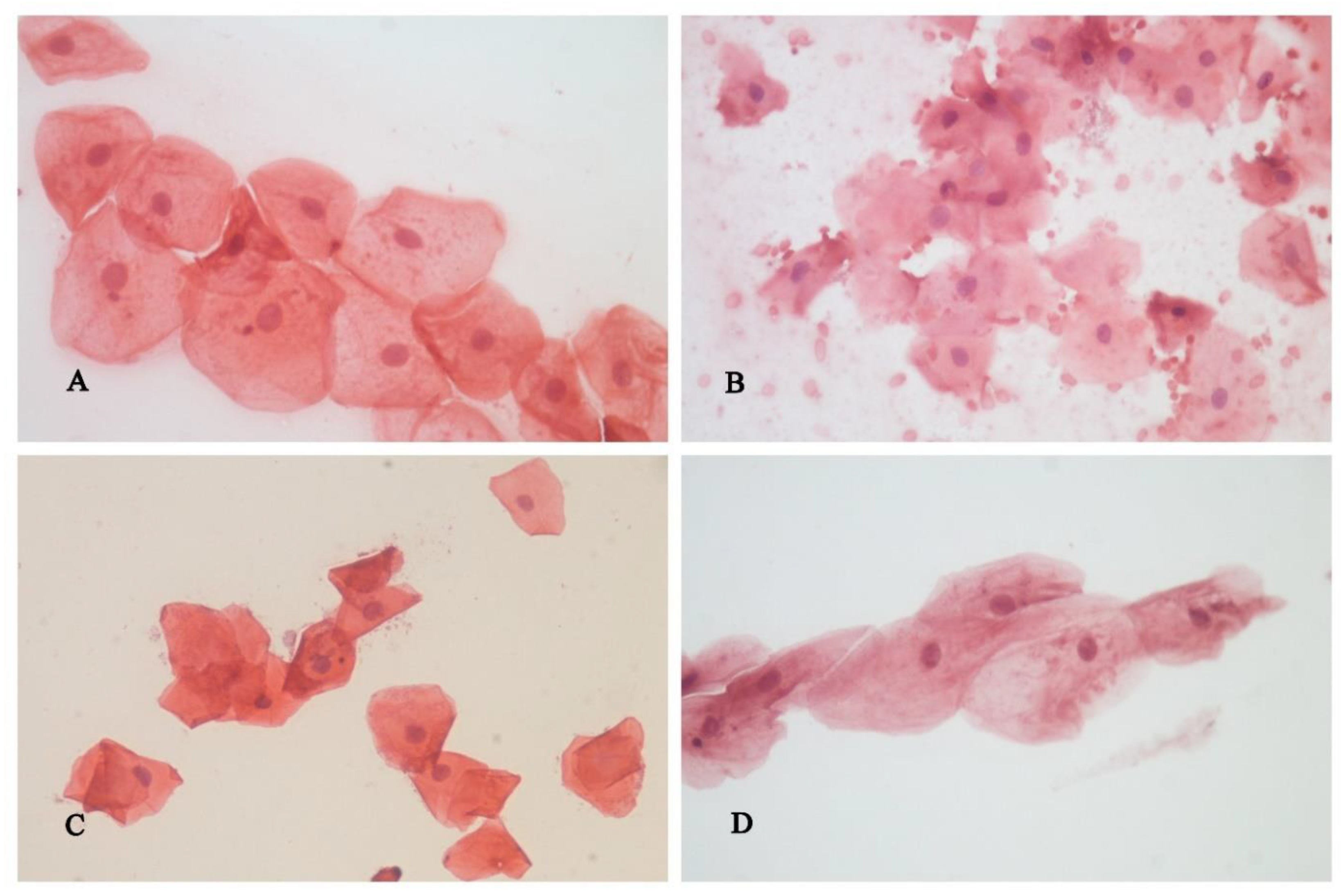 Healthcare 11 00414 g002