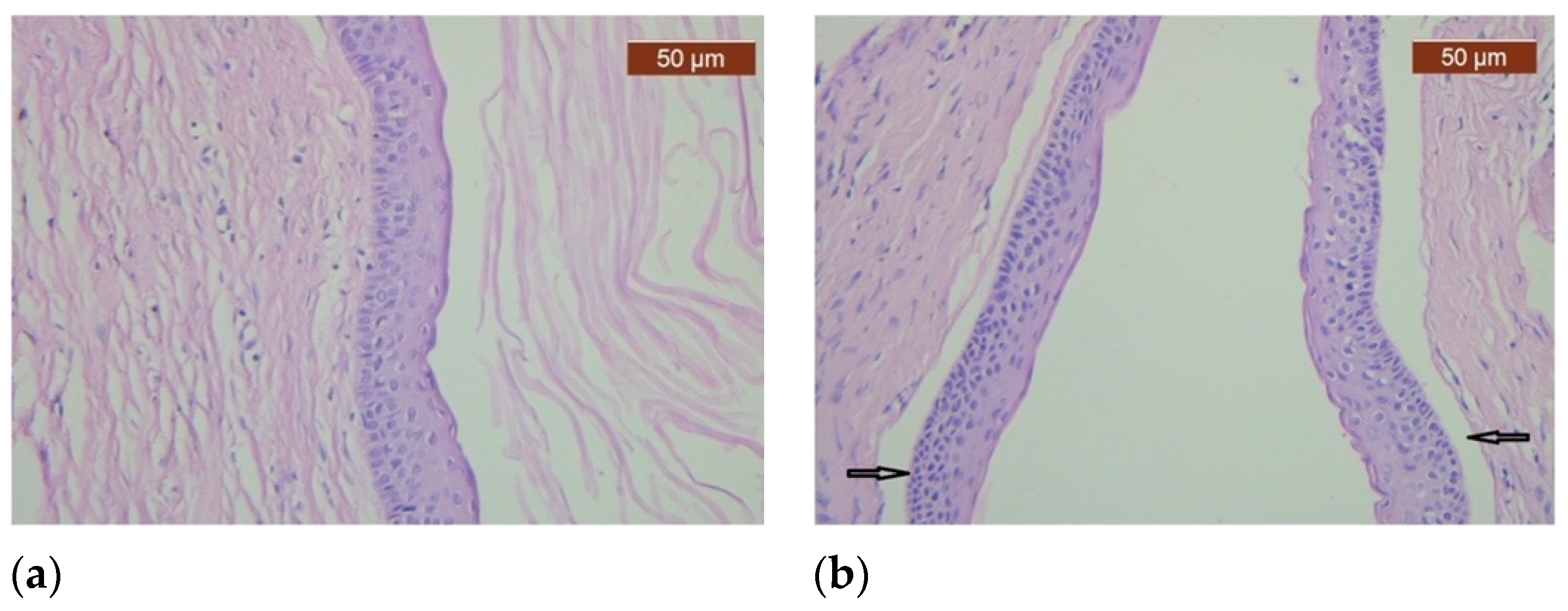 Healthcare 11 00416 g003