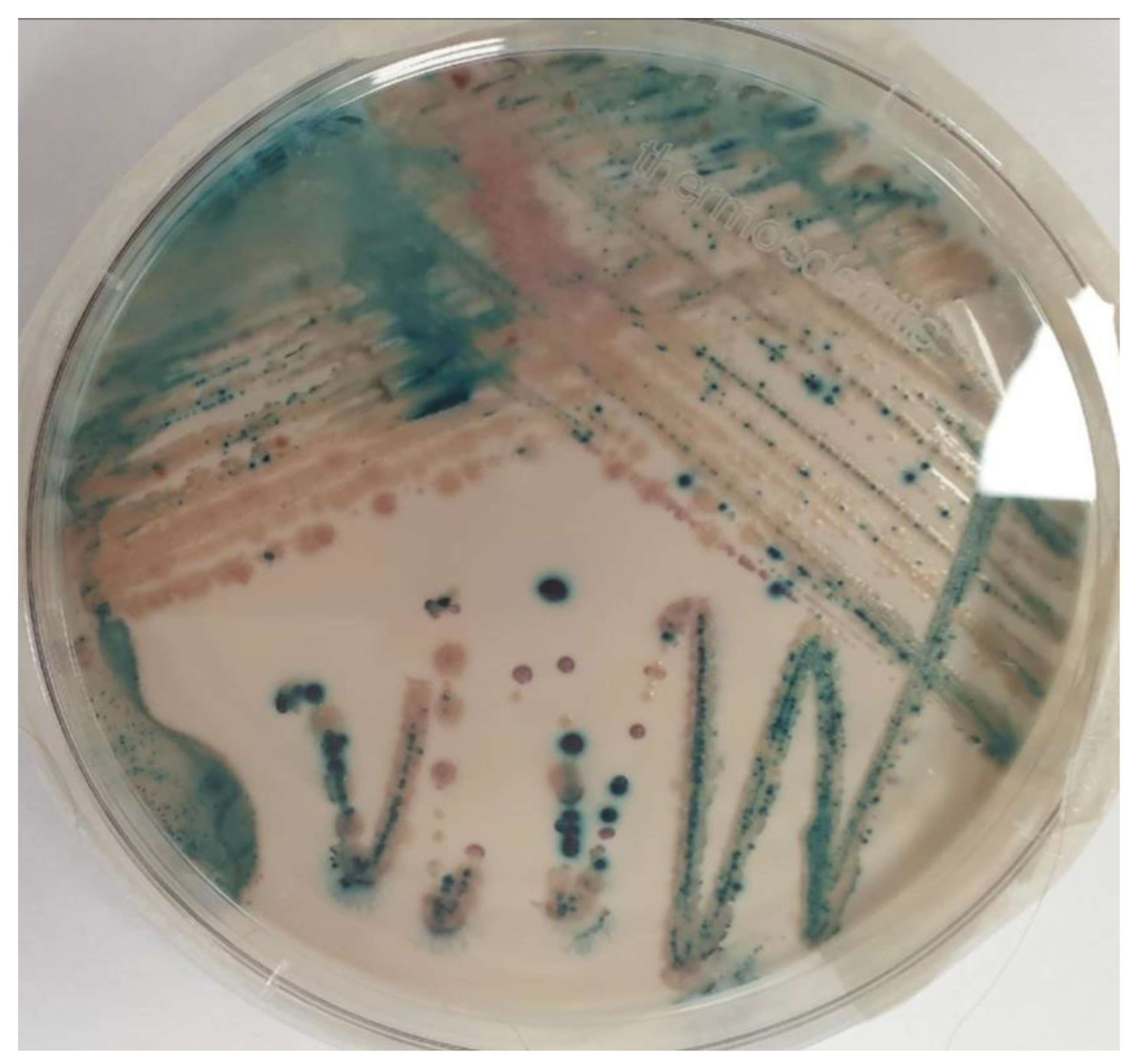 Healthcare 11 00425 g001 Healthcare 11 00425 g001