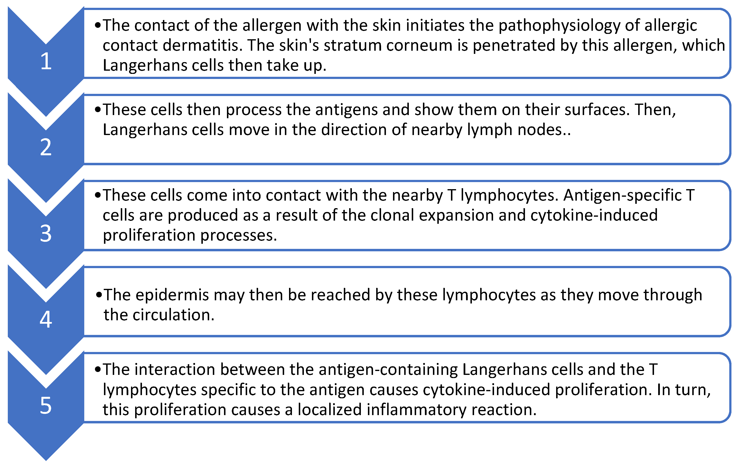 Healthcare 11 00427 g001