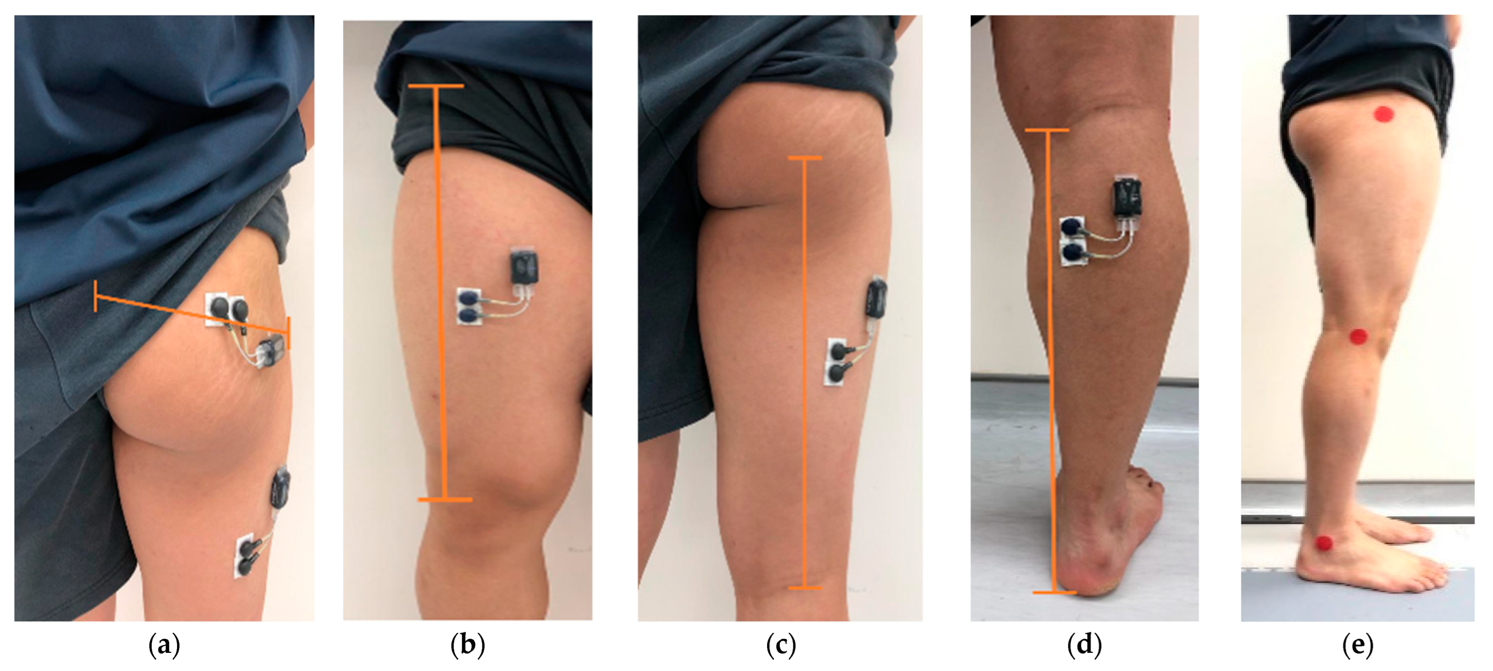 Healthcare 11 00441 g002 Healthcare 11 00441 g002