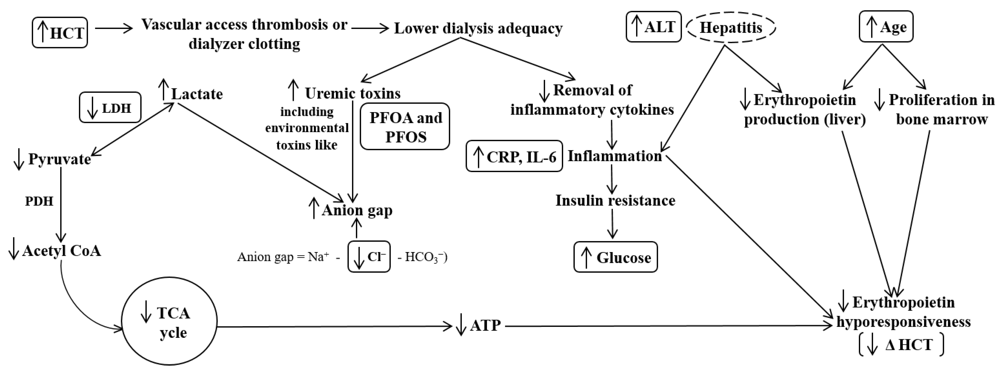 Healthcare 11 00442 g004 Healthcare 11 00442 g004