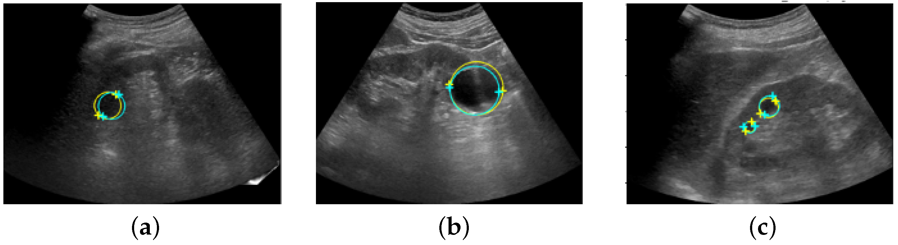 Healthcare 11 00484 g008 550