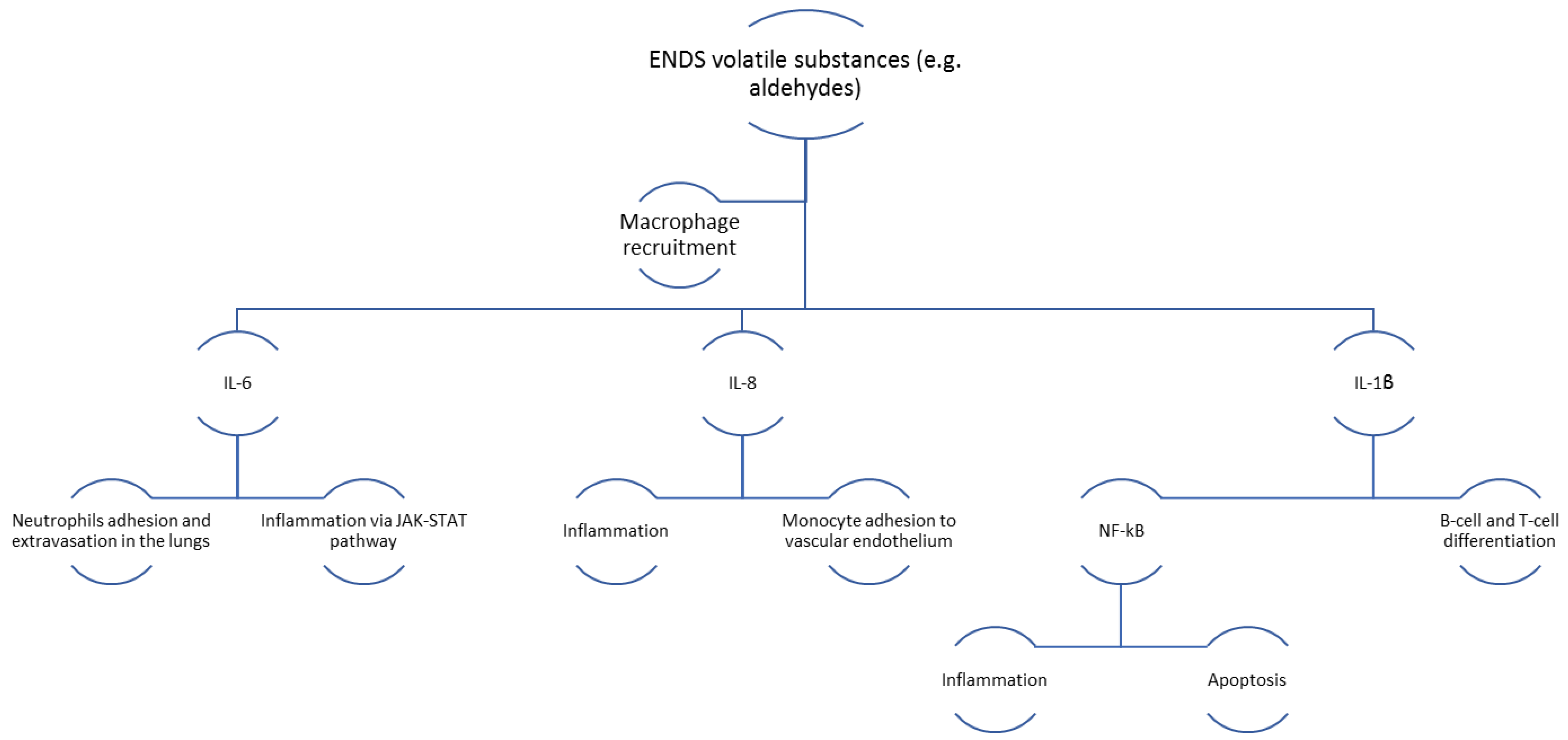 Healthcare 11 00491 g002