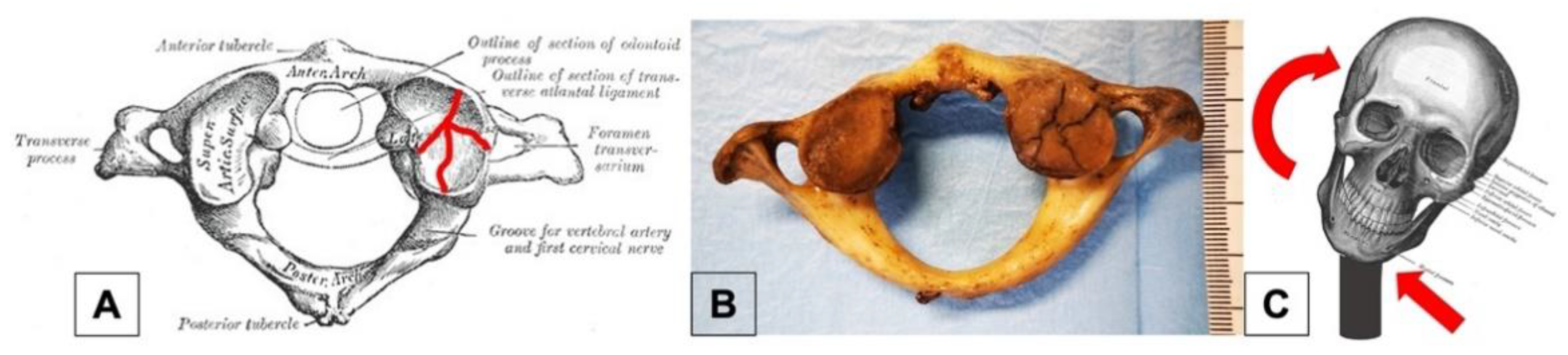 Healthcare 11 00510 g002