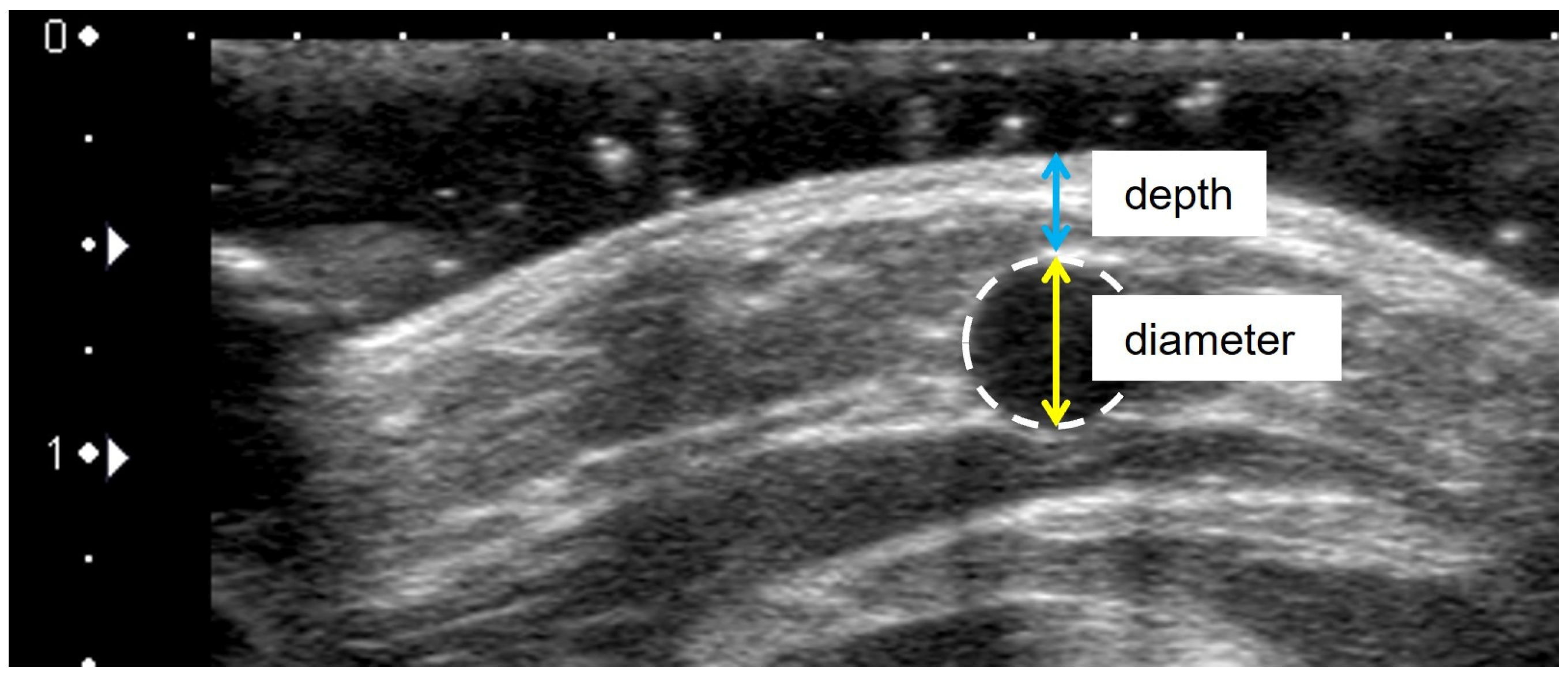 Healthcare 11 00522 g003