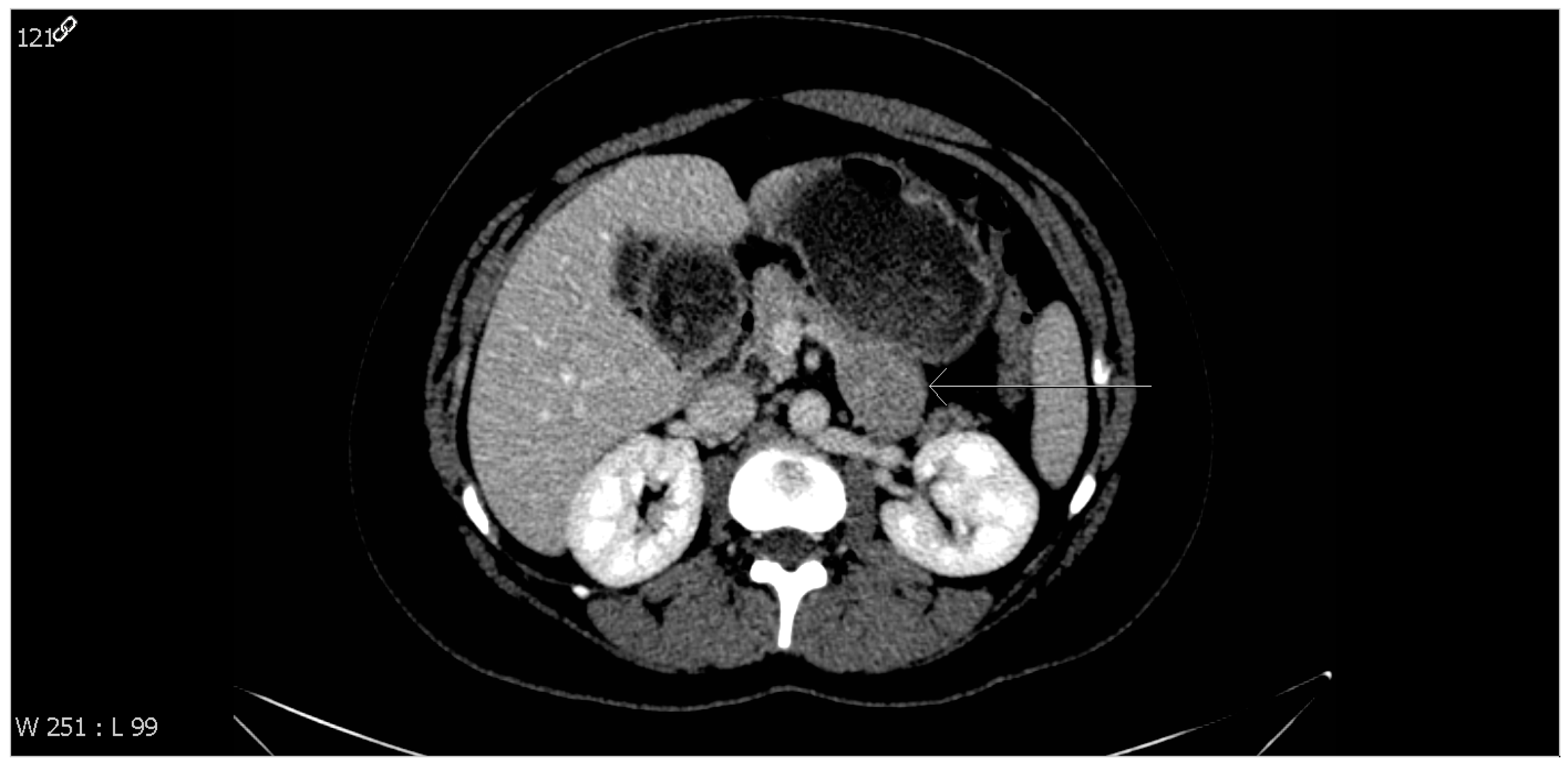 Healthcare 11 00547 g001