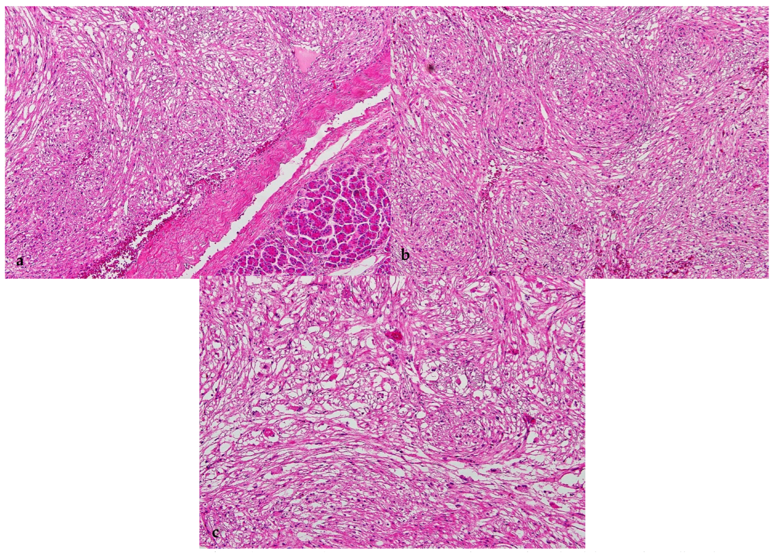 Healthcare 11 00547 g002