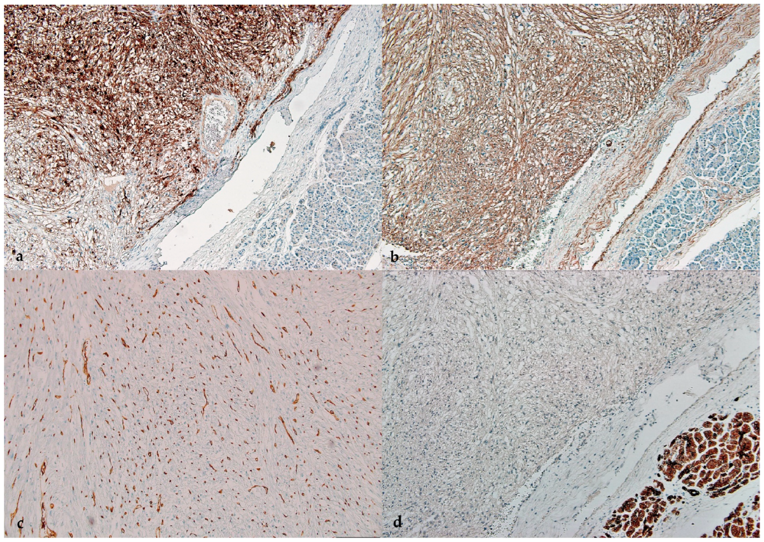 Healthcare 11 00547 g003