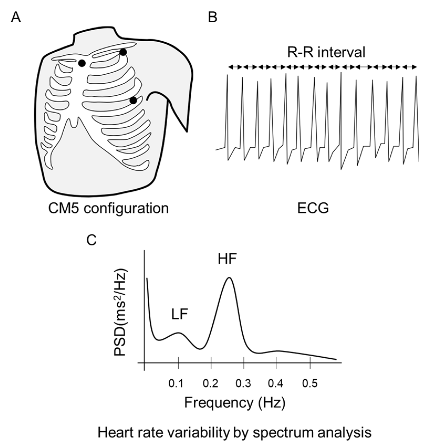 Healthcare 11 00548 g002