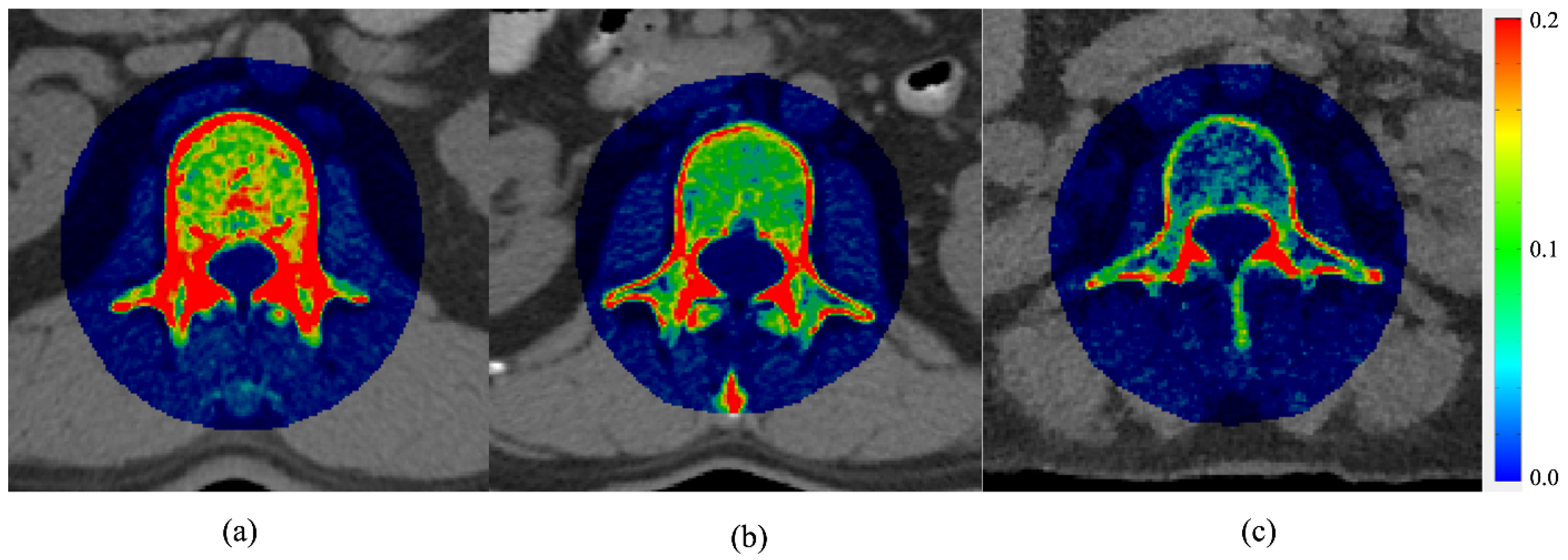 Healthcare 11 00556 g003