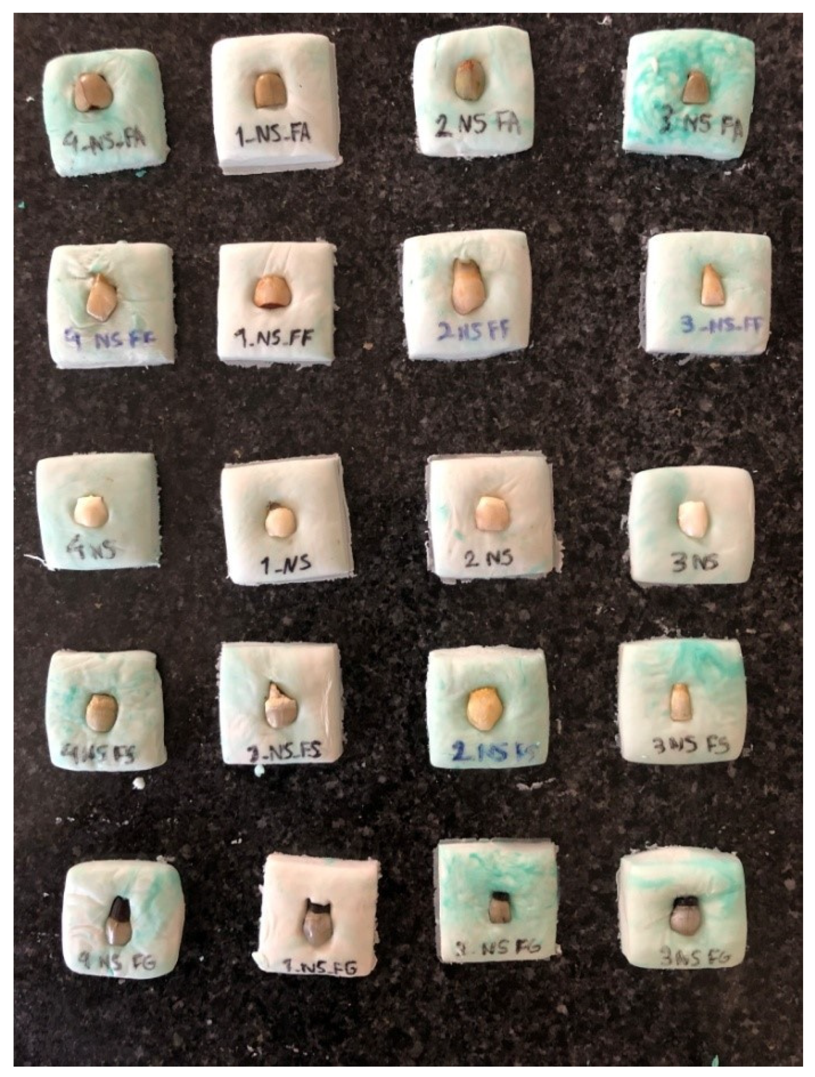 Healthcare 11 00569 g002