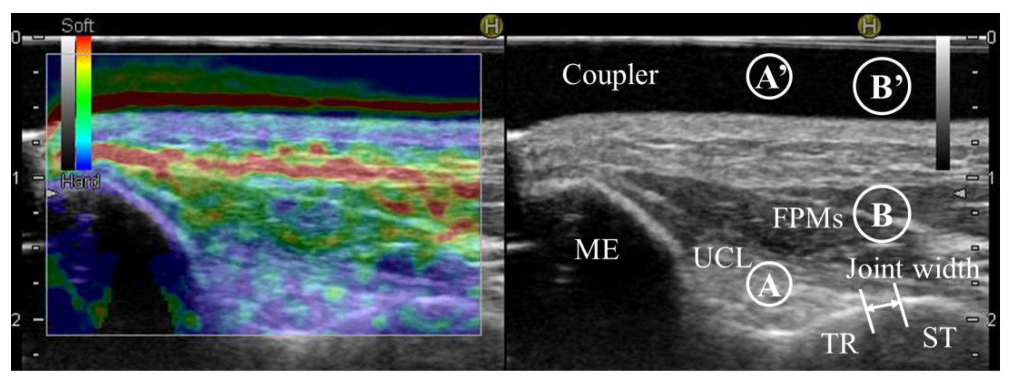 Healthcare 11 00586 g002