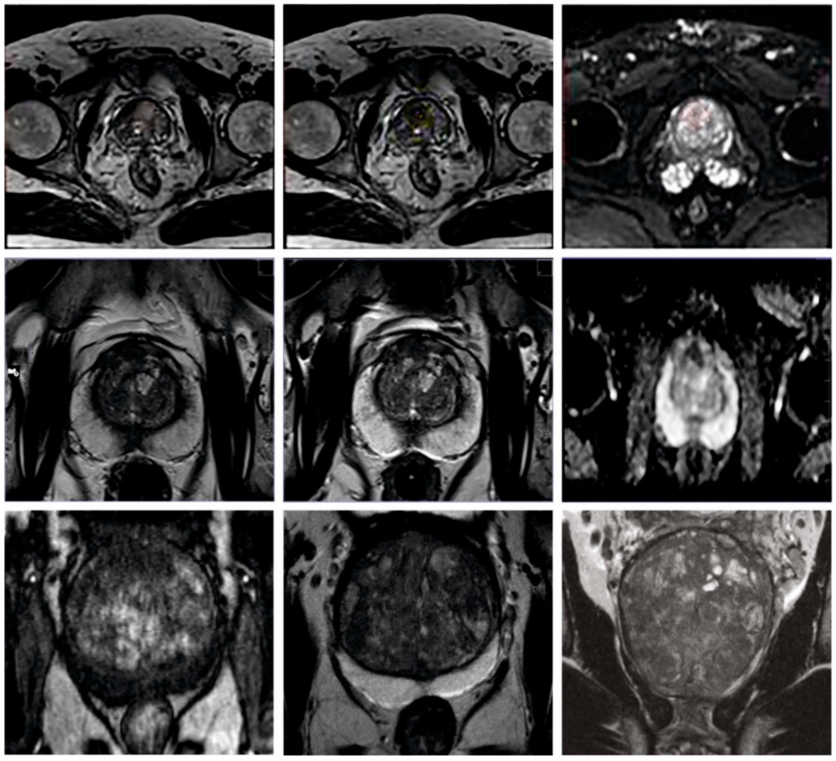 Healthcare 11 00590 g003