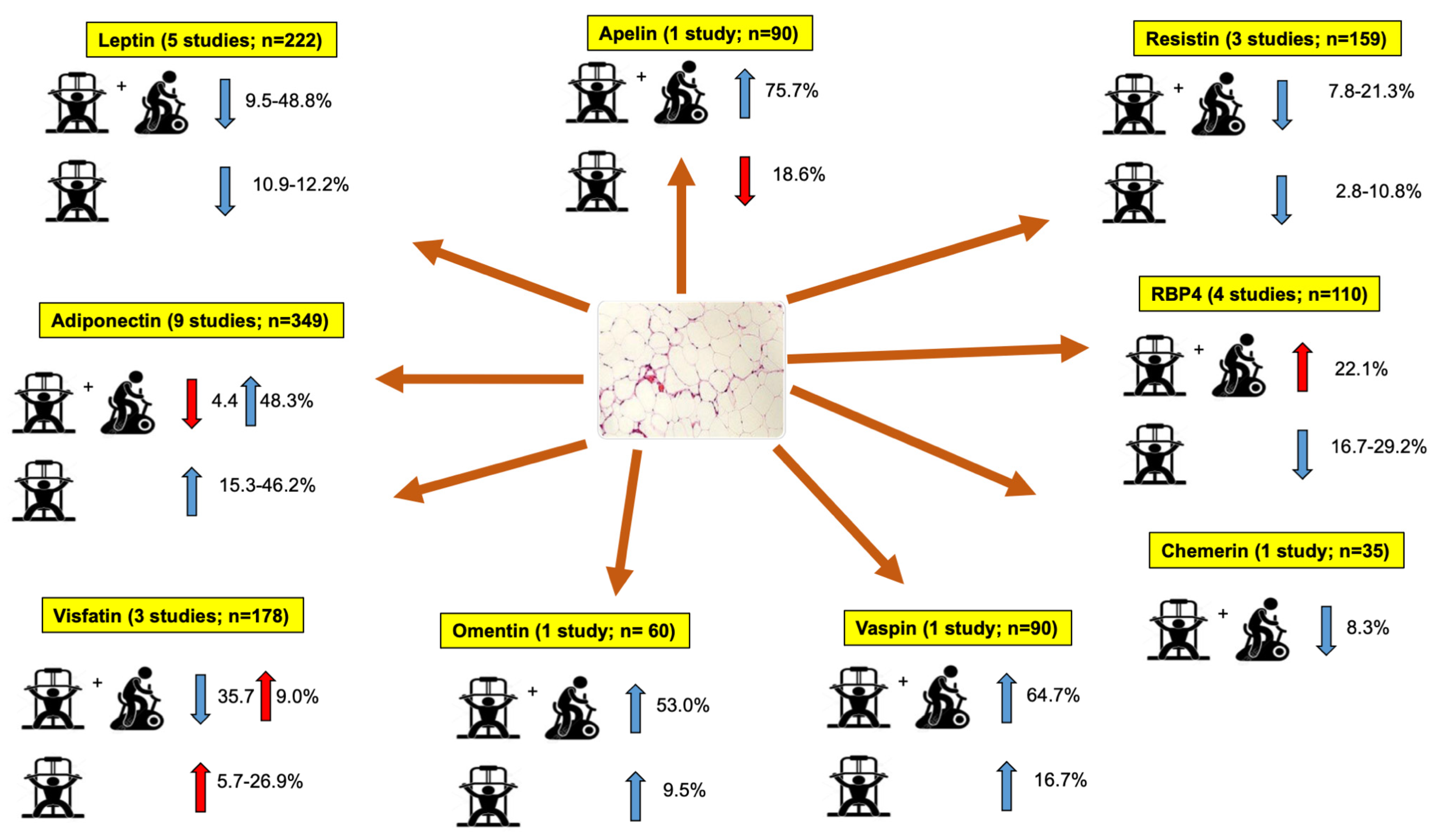 Healthcare 11 00594 g002 Healthcare 11 00594 g002