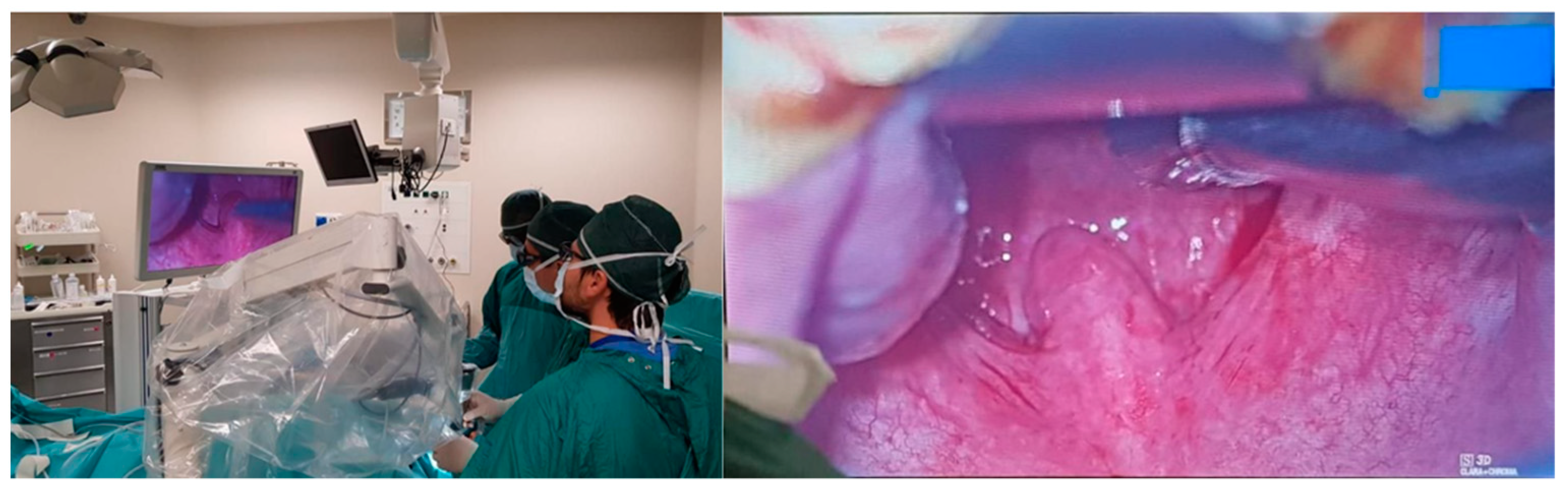 Healthcare 11 00596 g002 550