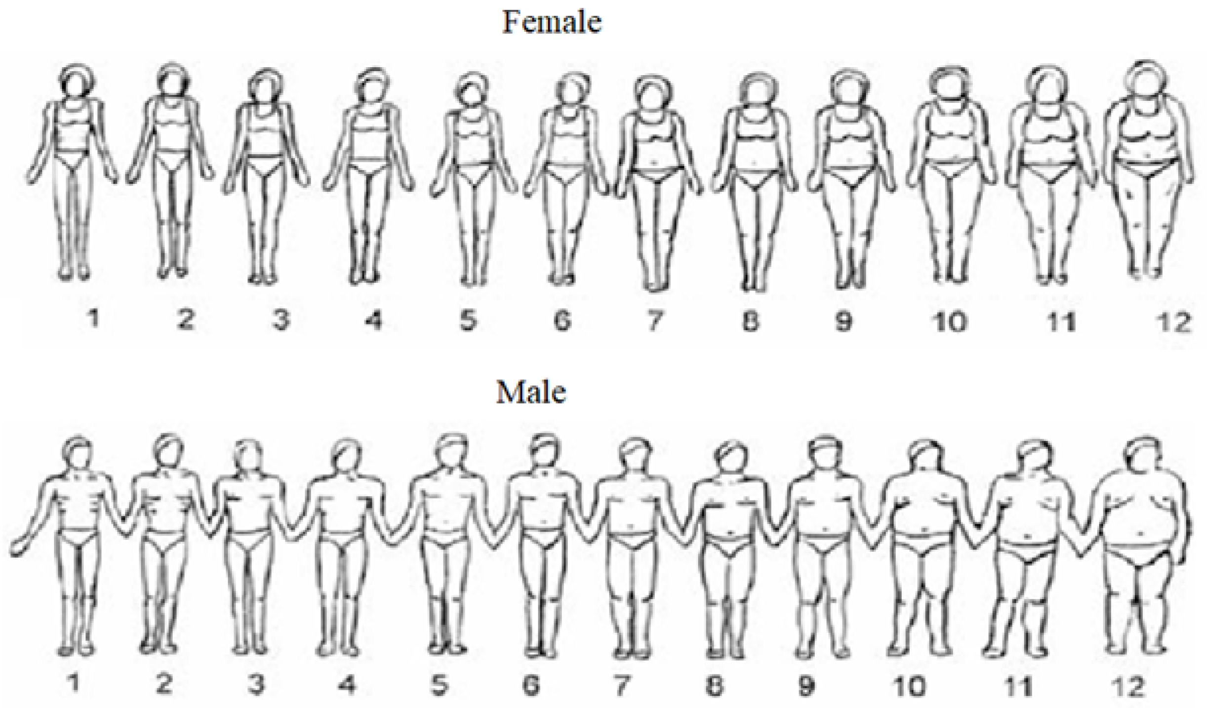 Healthcare 11 00602 g002 Healthcare 11 00602 g002