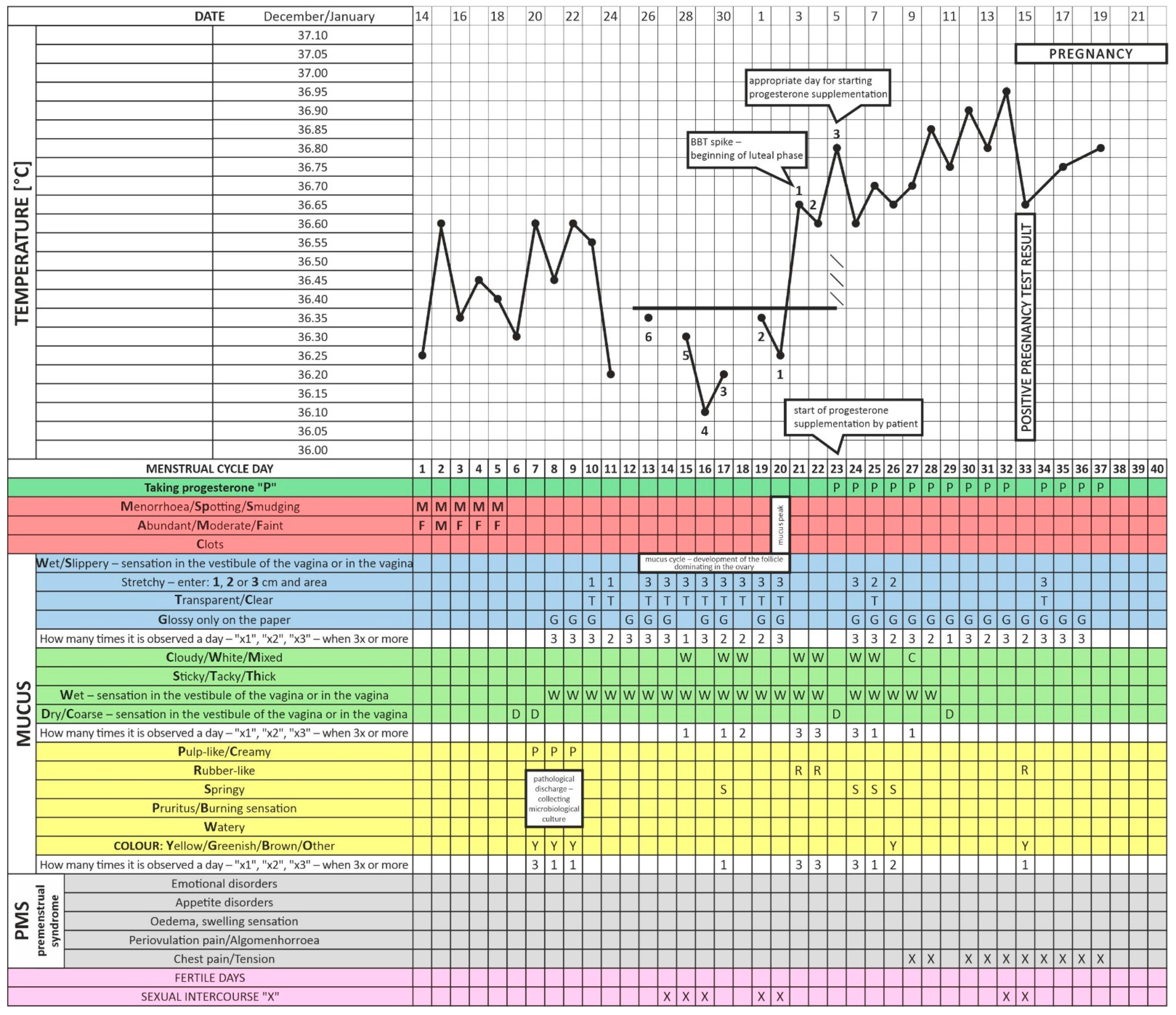 LH surge after bbt spike?