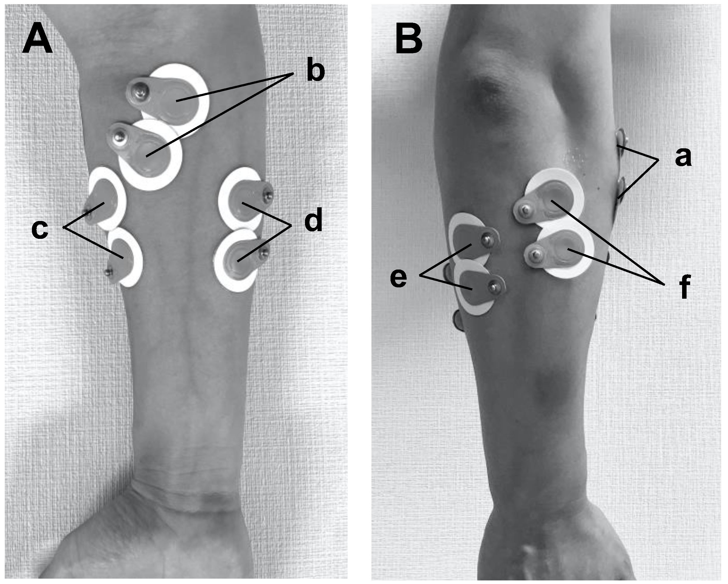 Healthcare 11 00618 g001