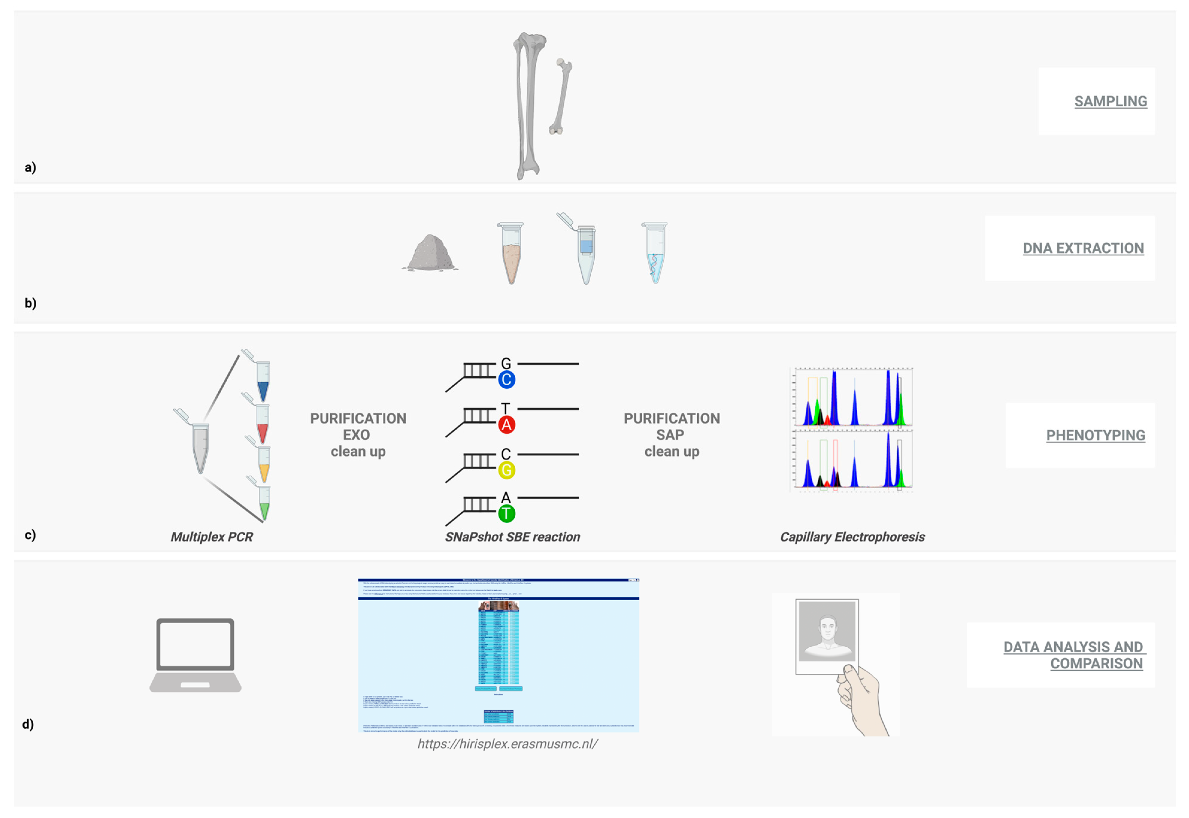 Healthcare 11 00647 g001
