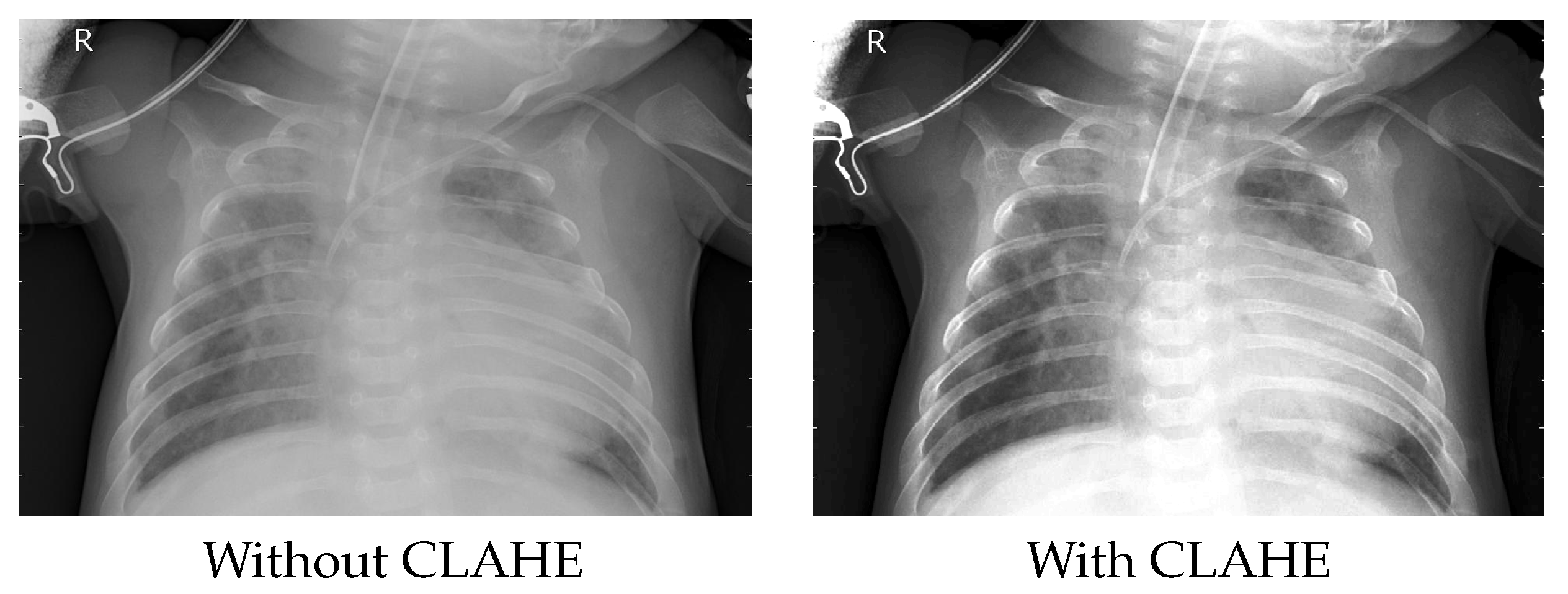 Healthcare 11 00662 g003