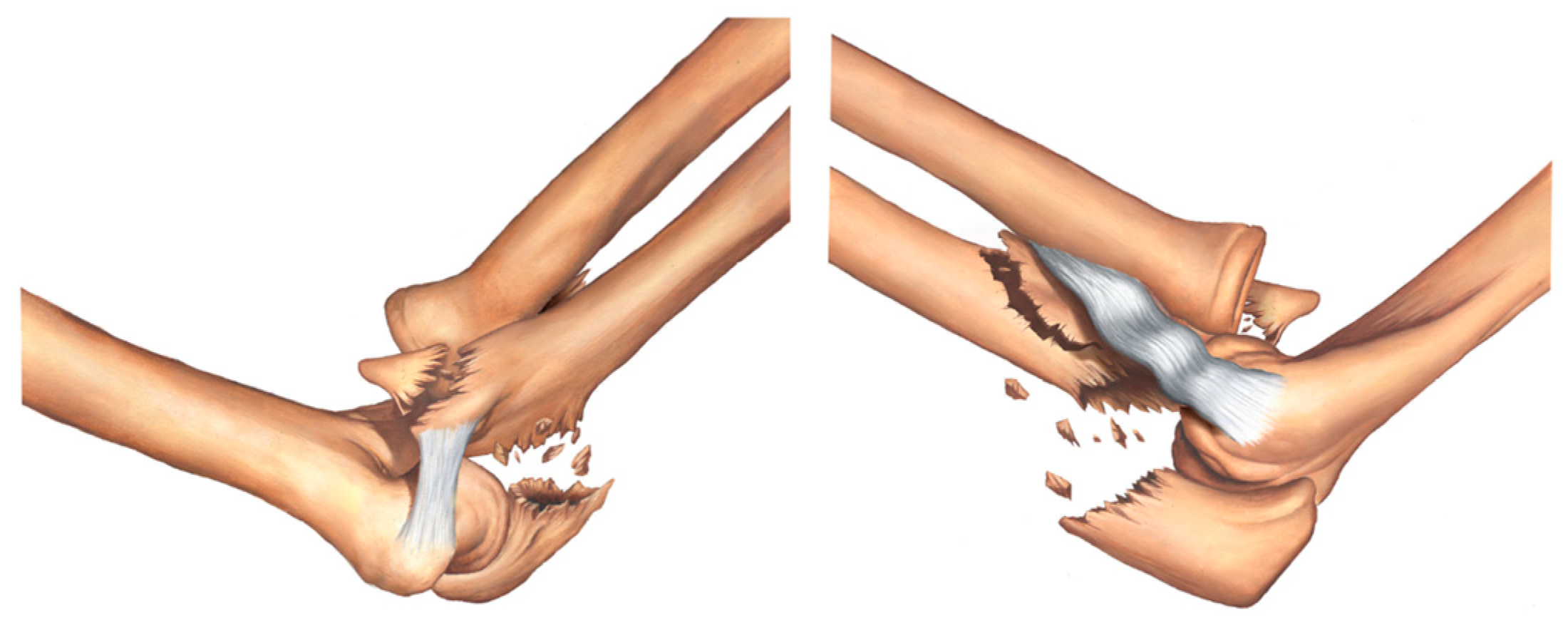 Healthcare 11 00693 g007 Healthcare 11 00693 g007